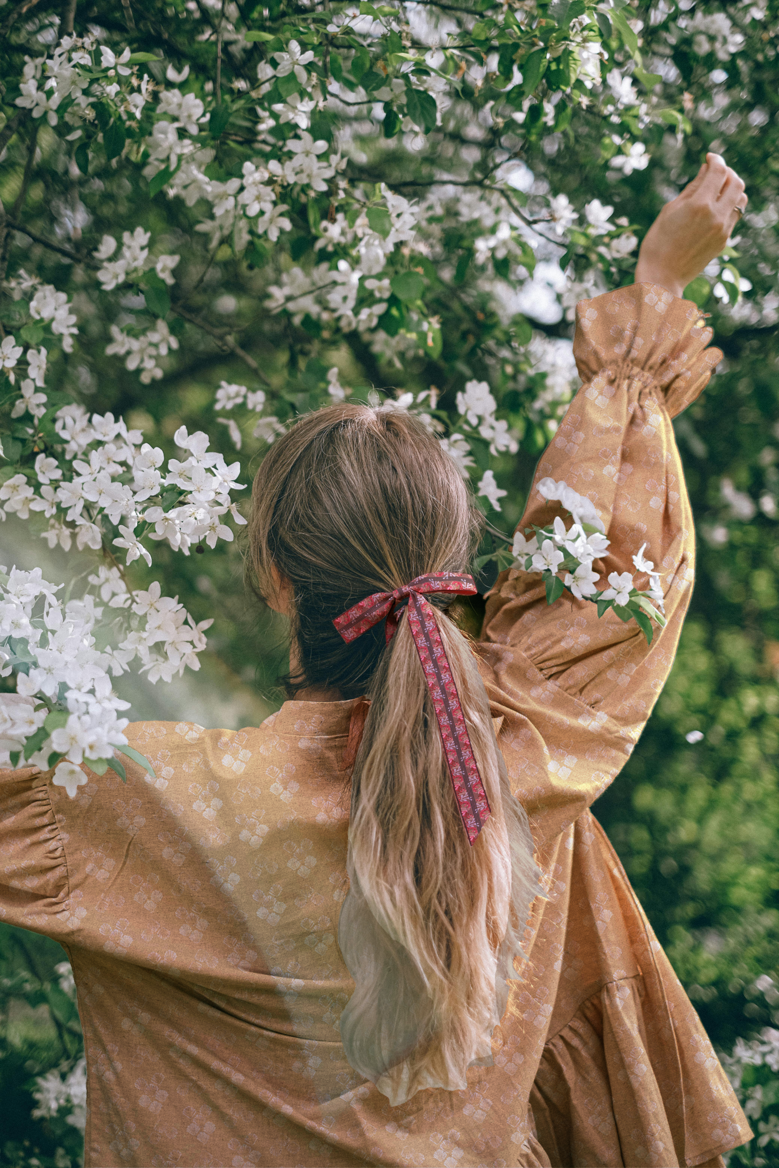 Ship to Wreck_mockup9+14_EllaPerry.png