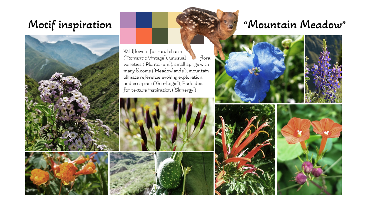 Mountain Meadow_Slide13_EllaPerry.PNG