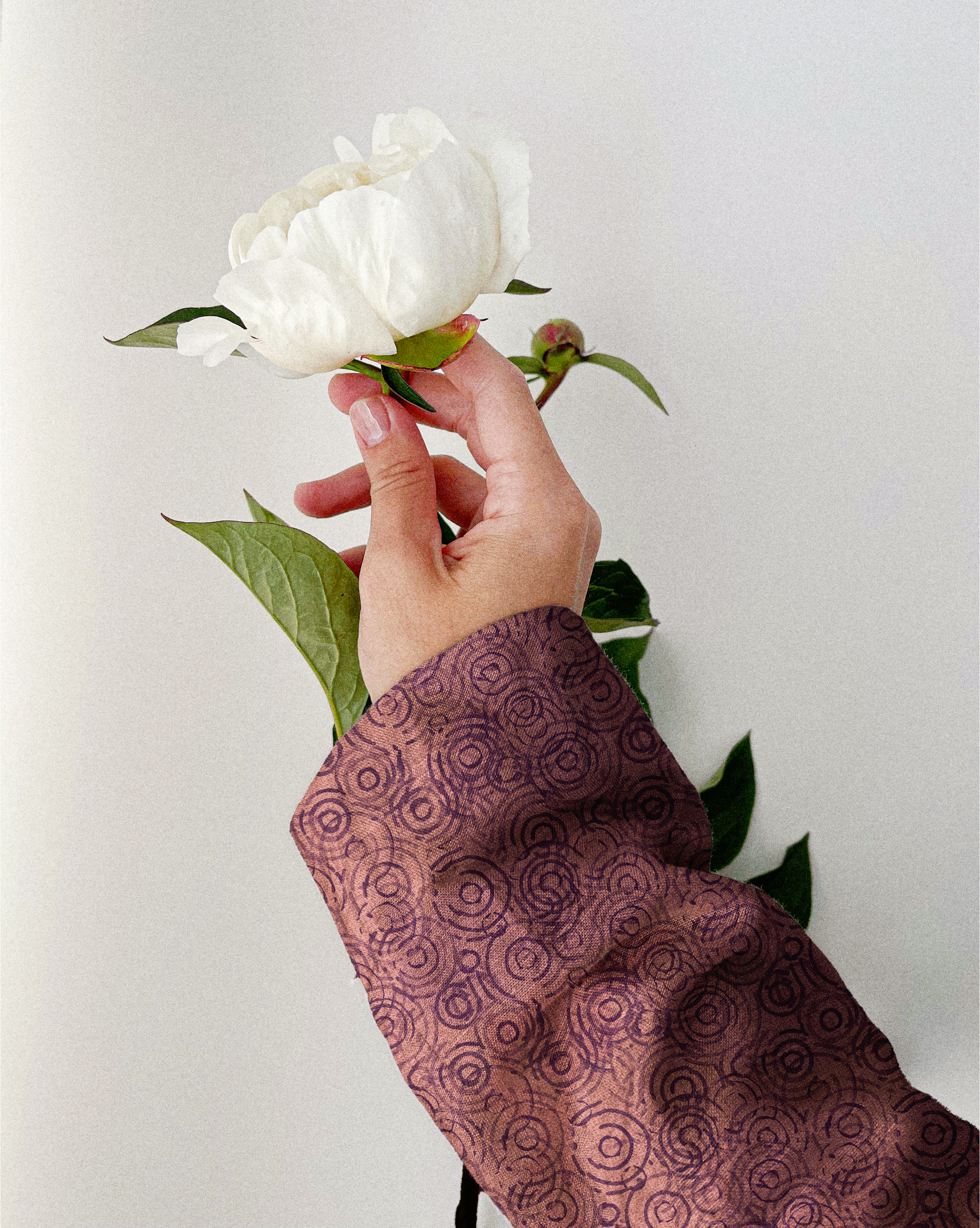 Ship to Wreck_mockup10_EllaPerry.png