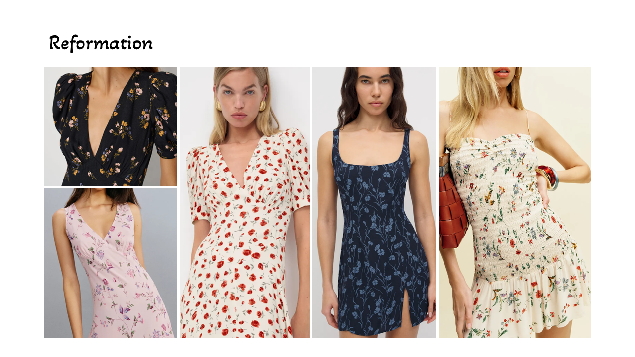 Mountain Meadow_Slide9_EllaPerry.PNG