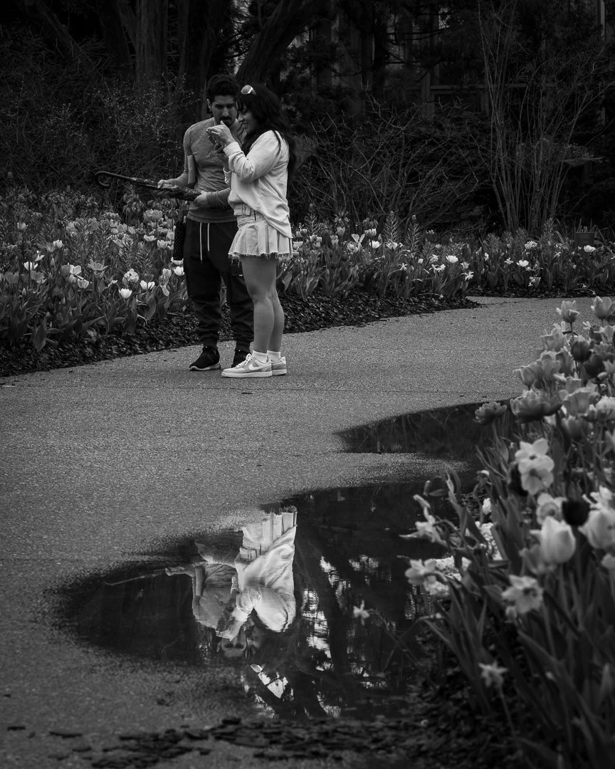 Botanical 7-7505.jpg