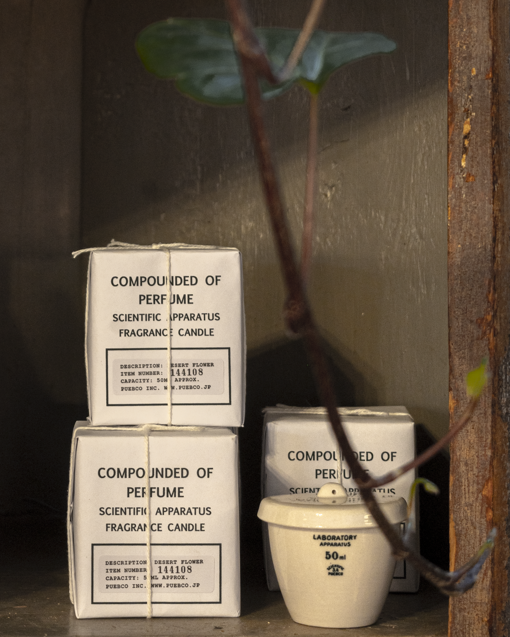 hawthorne_JAN EMAIL_rd2-8.png