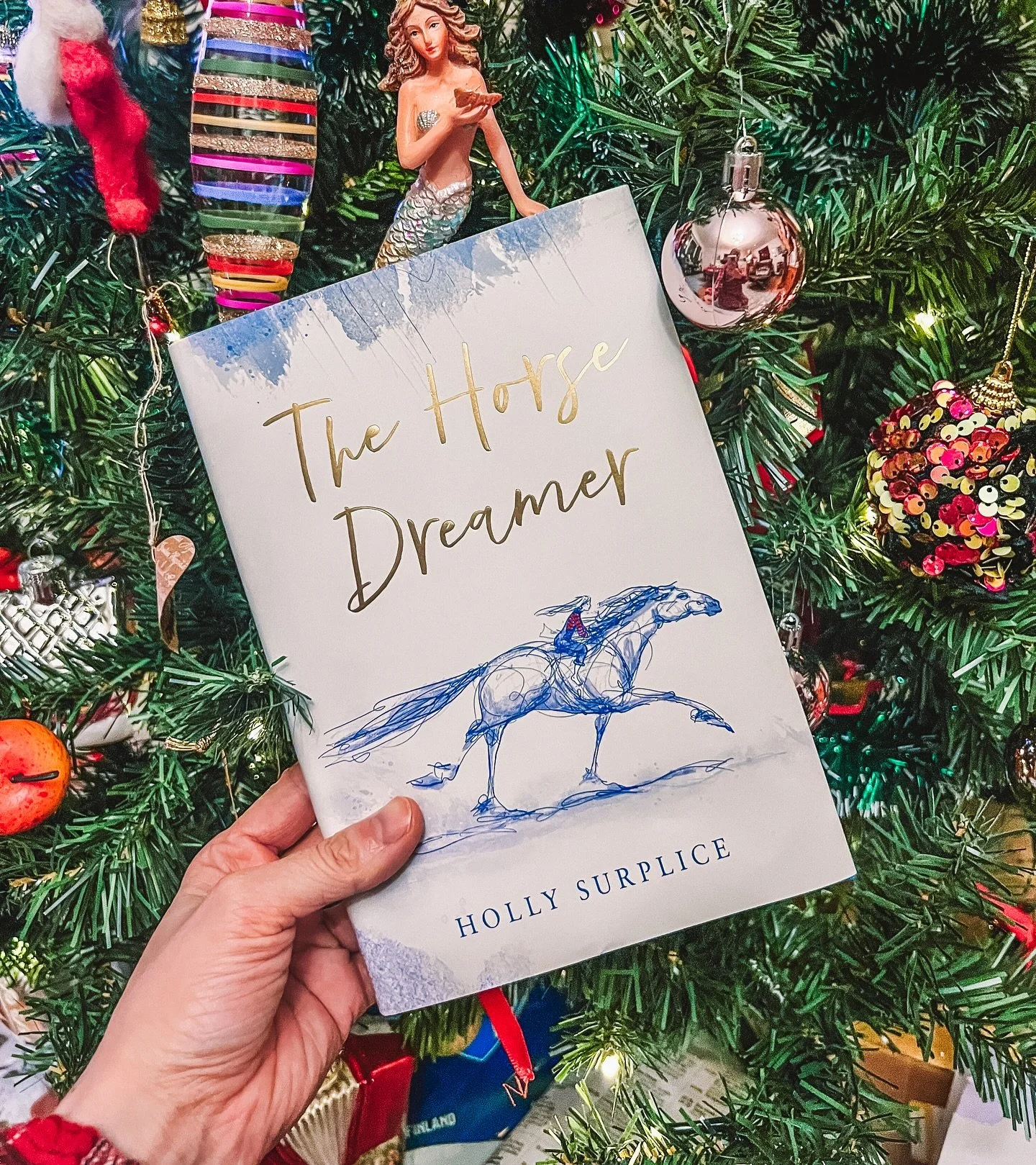 I haven&rsquo;t shared what I read over Christmas yet! ❄️ This is The Horse Dreamer by @hollysurplice and goodness, it was gorgeous! Not only does it look stunning (Holly has illustrated it herself and the book is completely printed in blue ink) but 