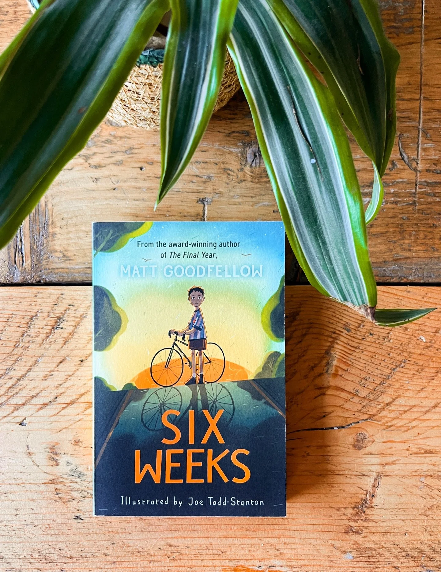 Six Weeks by Matt Goodfellow 📗
I was so excited to receive a proof of this because I&rsquo;ve seen such wonderful reviews and so much excitement about this book. ✨ But going in knowing nothing about it wasn&rsquo;t great for me, because the book is 
