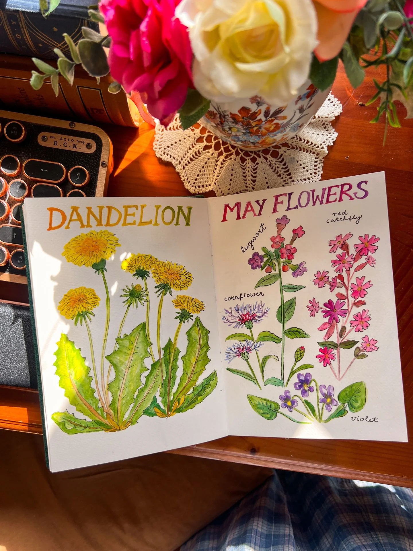 Late-night Forest Diary journalling 🌻 These are flowers I saw (and photographed) on my run. 🌼🌷#forestdiary #naturejournal