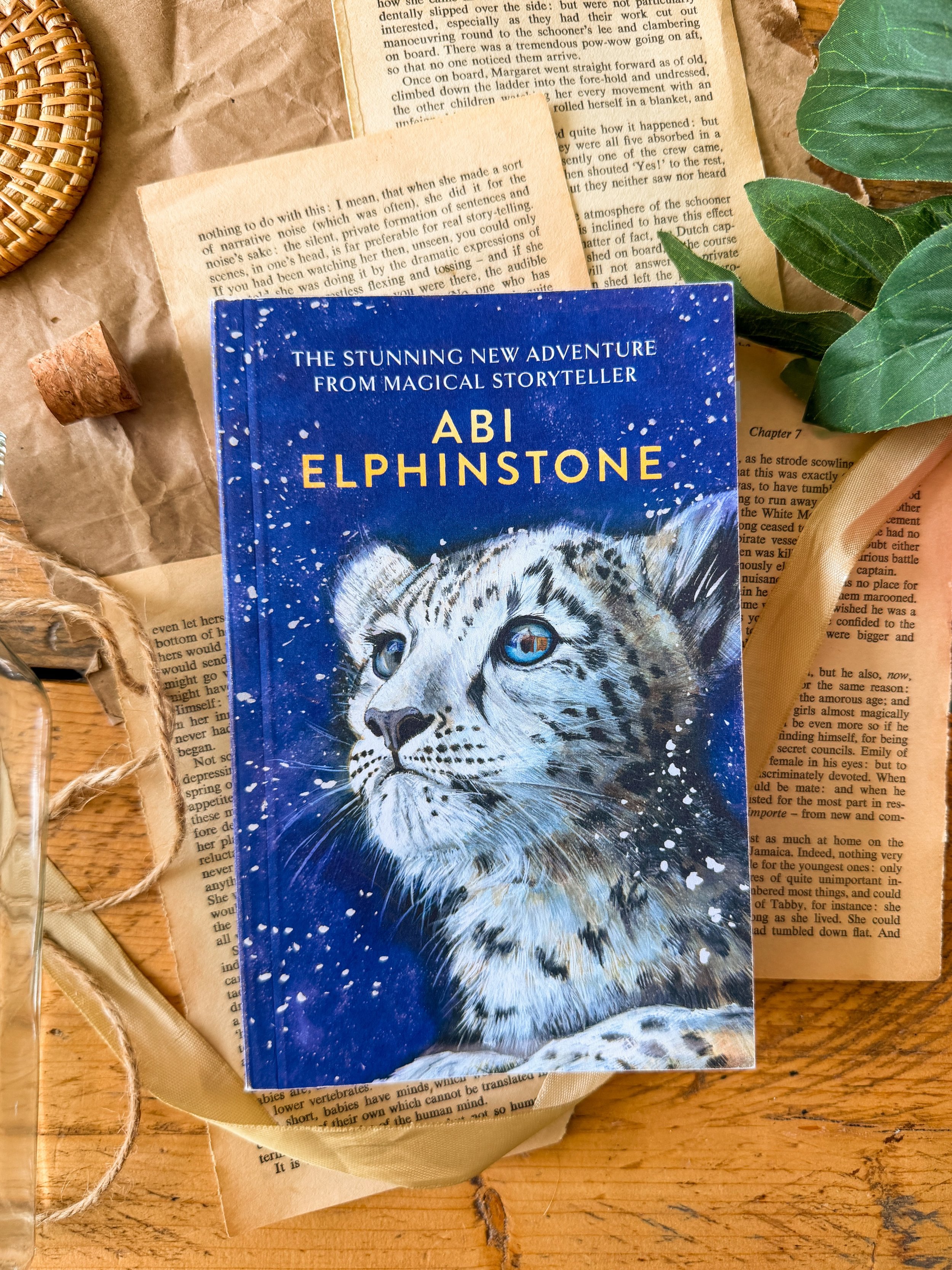 What I&rsquo;m reading this summer: &ldquo;Goodnight Silver&rdquo; by @abielphinstone is about Emmy, a girl who discovers a lost snow leopard cub and is drawn into the magical world of Whisperfell. ✨As she searches for answers and a way home, she lea