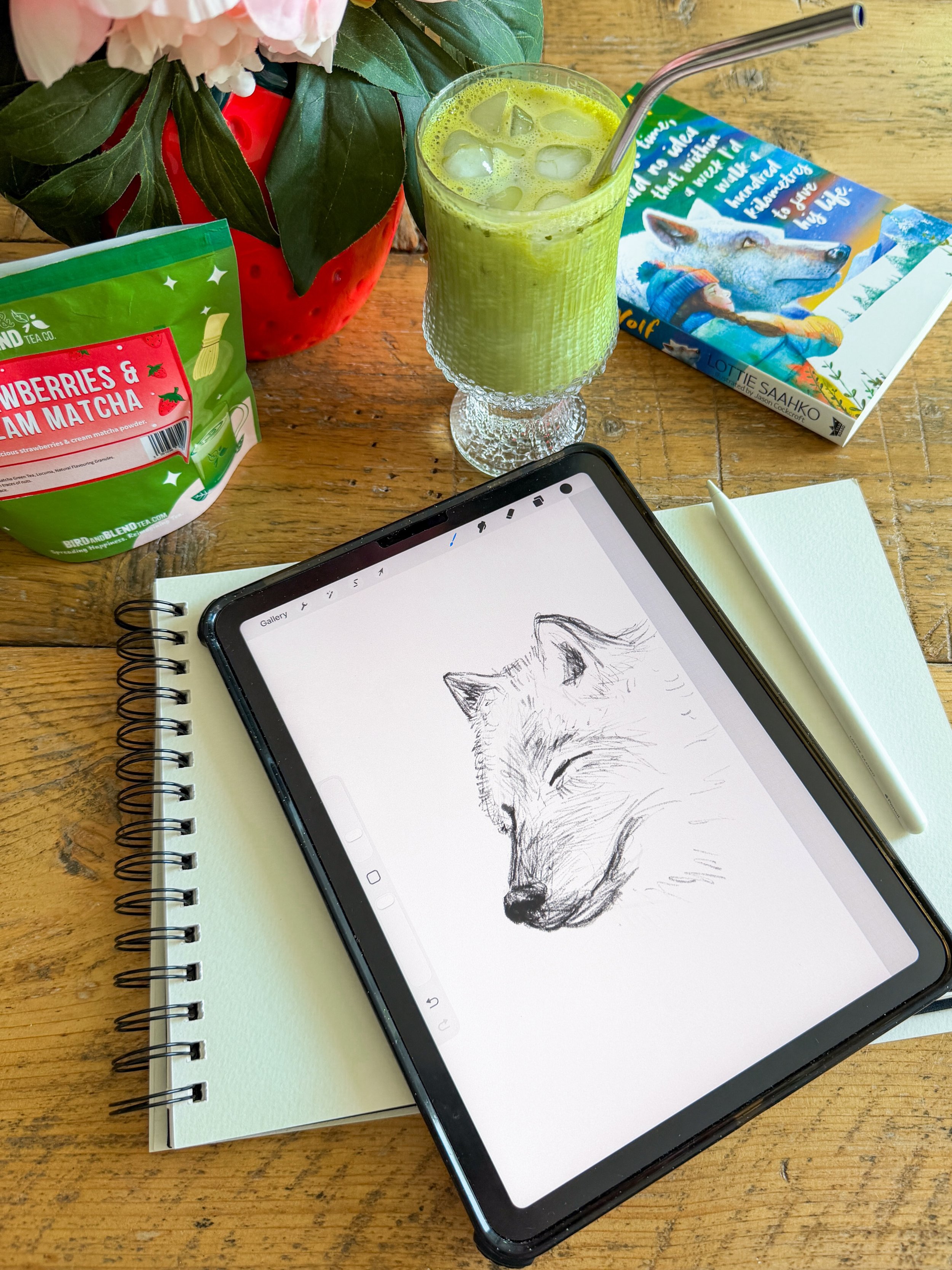 Secret projects underway&hellip; 👀 Deadline tomorrow, wish me luck! 🐺 (it&rsquo;s a real struggle to draw a WHITE wolf. Look at the amount of erasing I have to do whenever his fur gets too dark!)

Powered by a lot of @birdandblendtea iced matcha in
