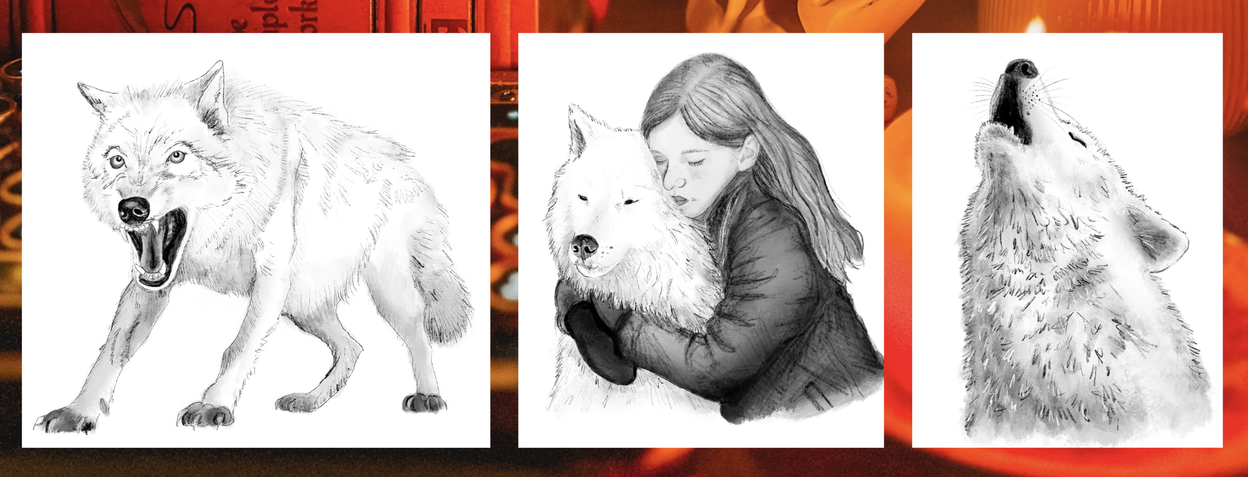 illustrations wolf and girl
