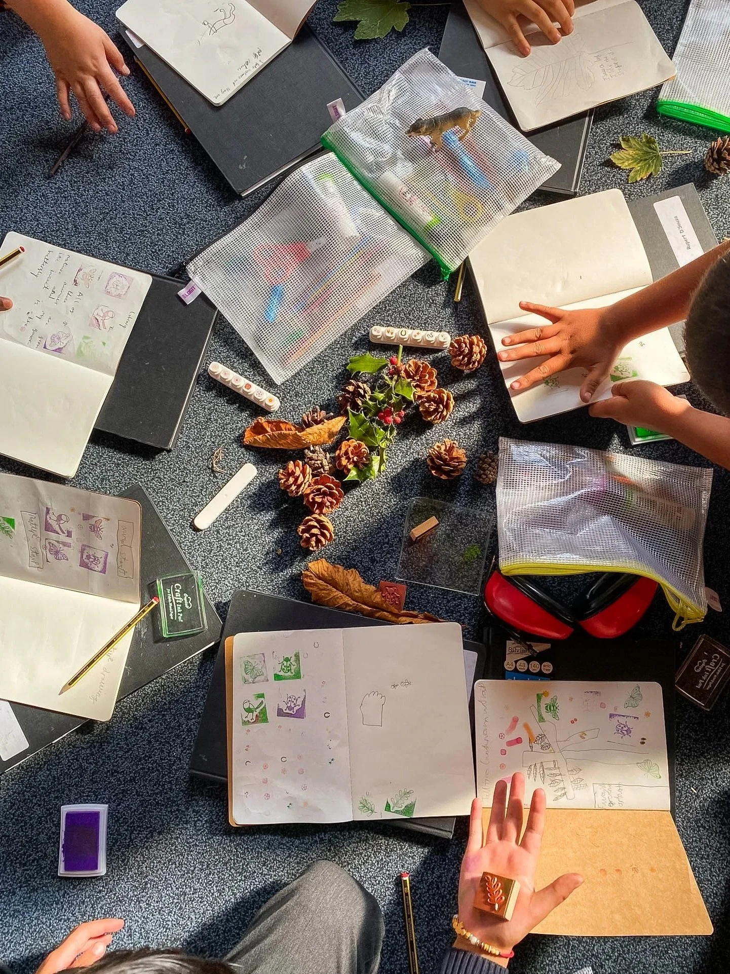 nature journalling workshop schools