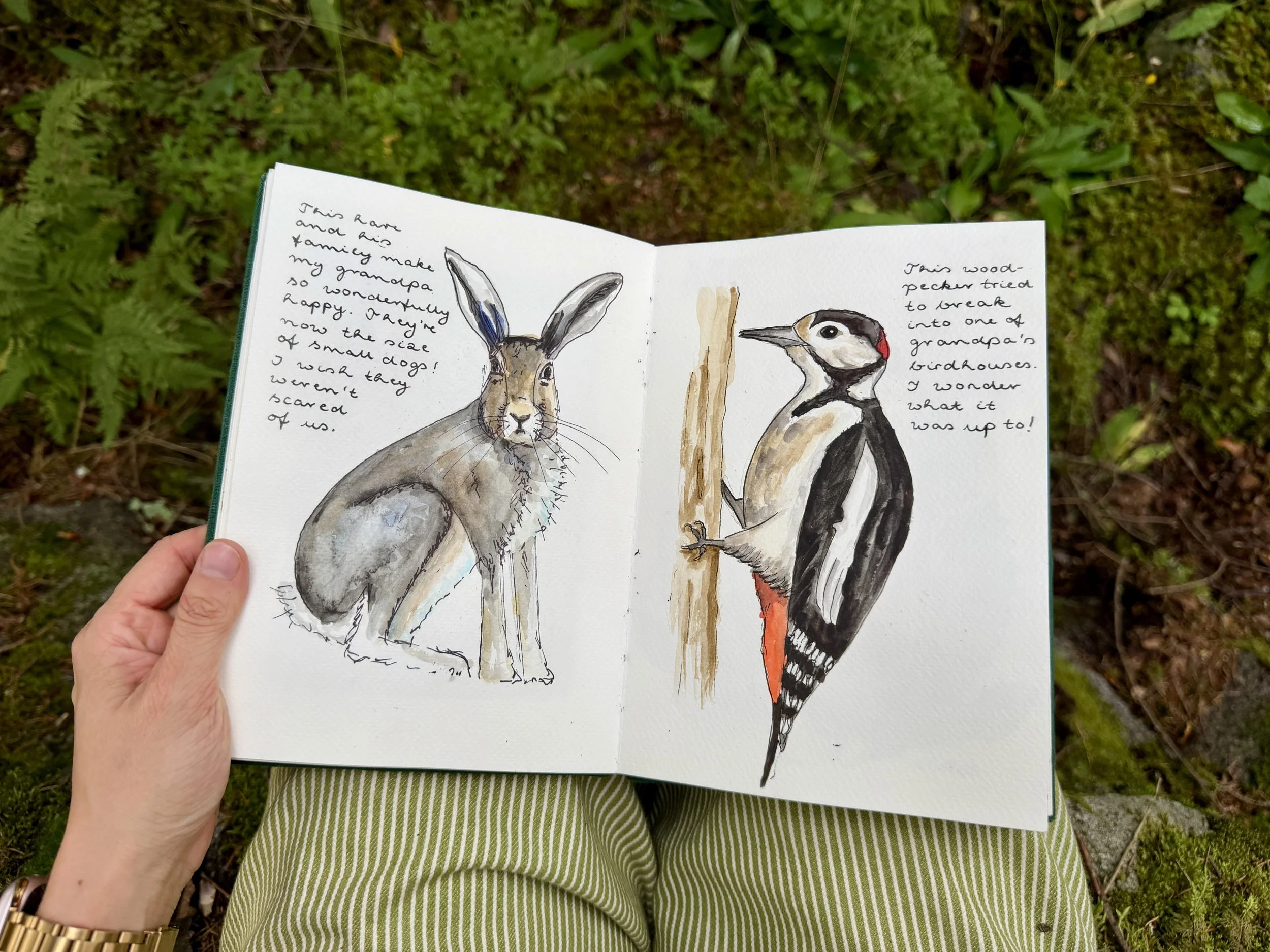 IMG_3121 2.JPG