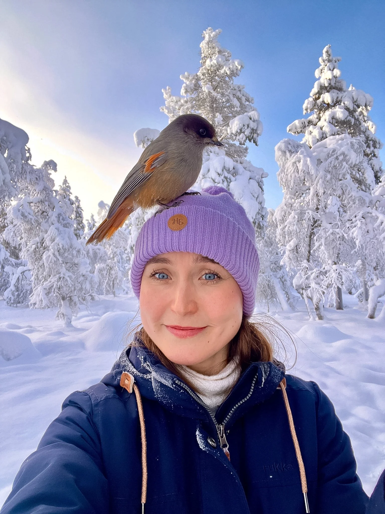 Lottie Siberian Jay.jpg