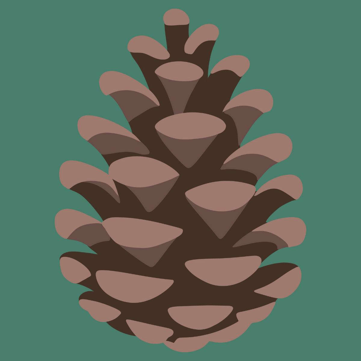 forest diary schools