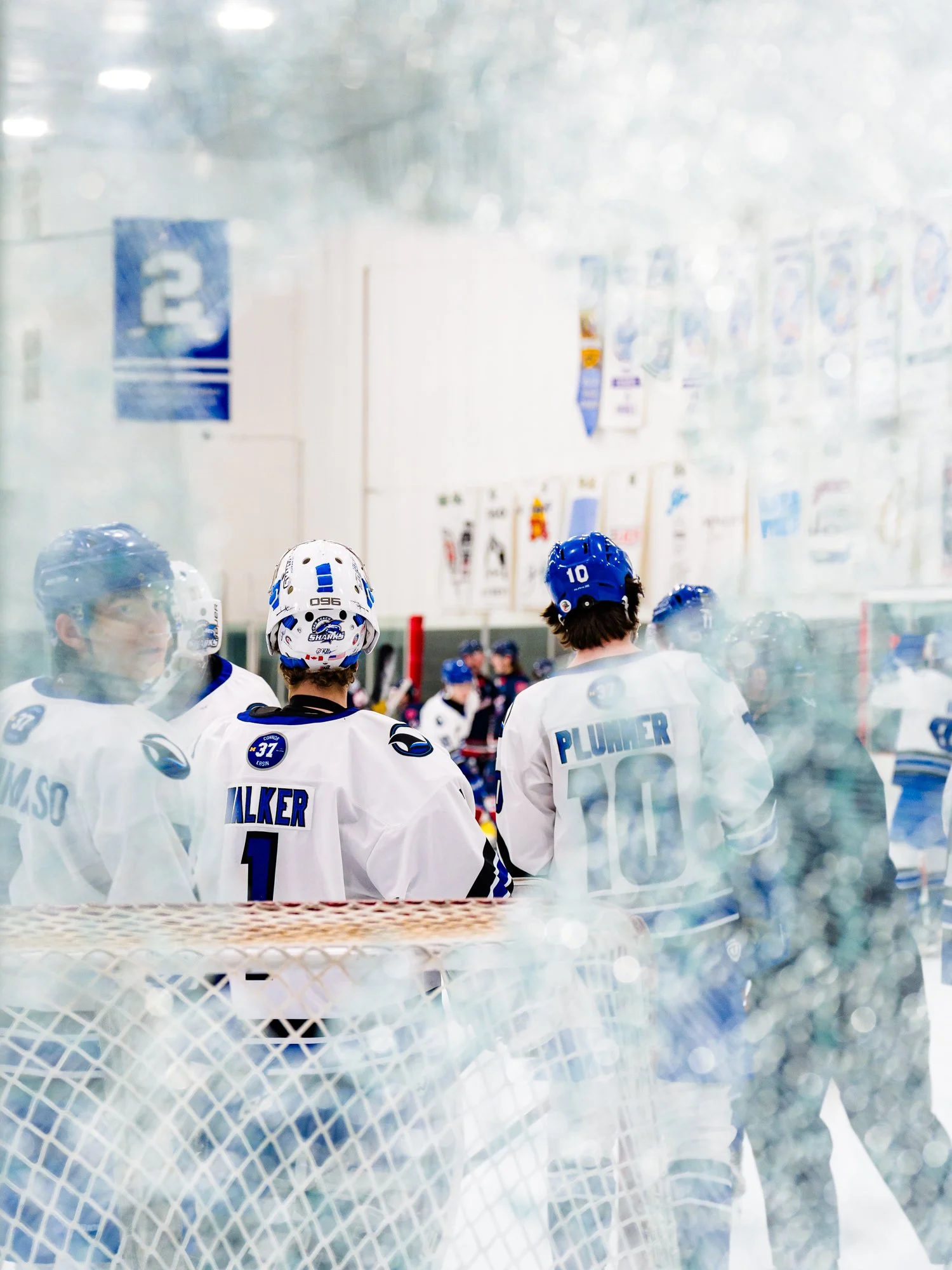 Sharks1.17_WEB-6.jpg