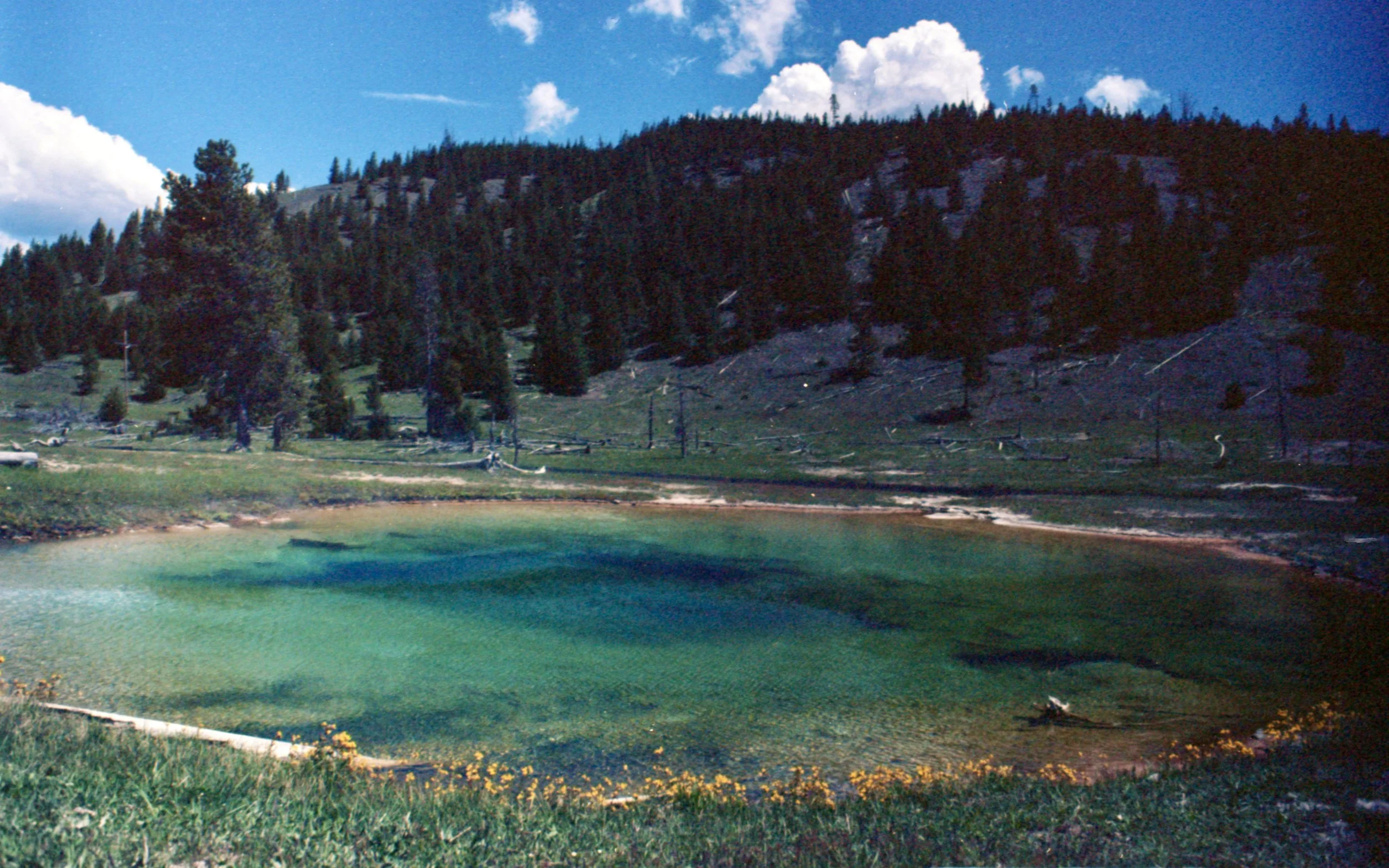 Yellowstone National Park.