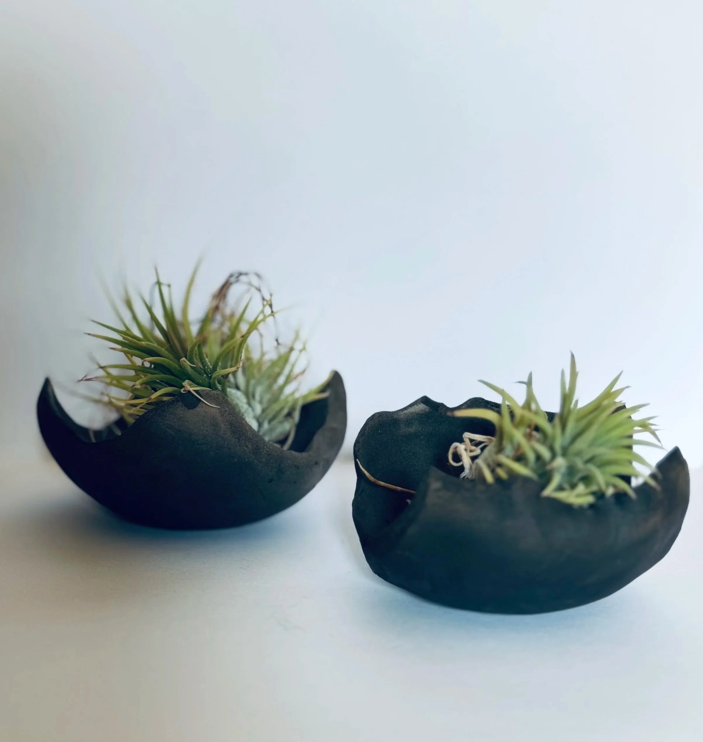 Rake matte dishes. 2025. 