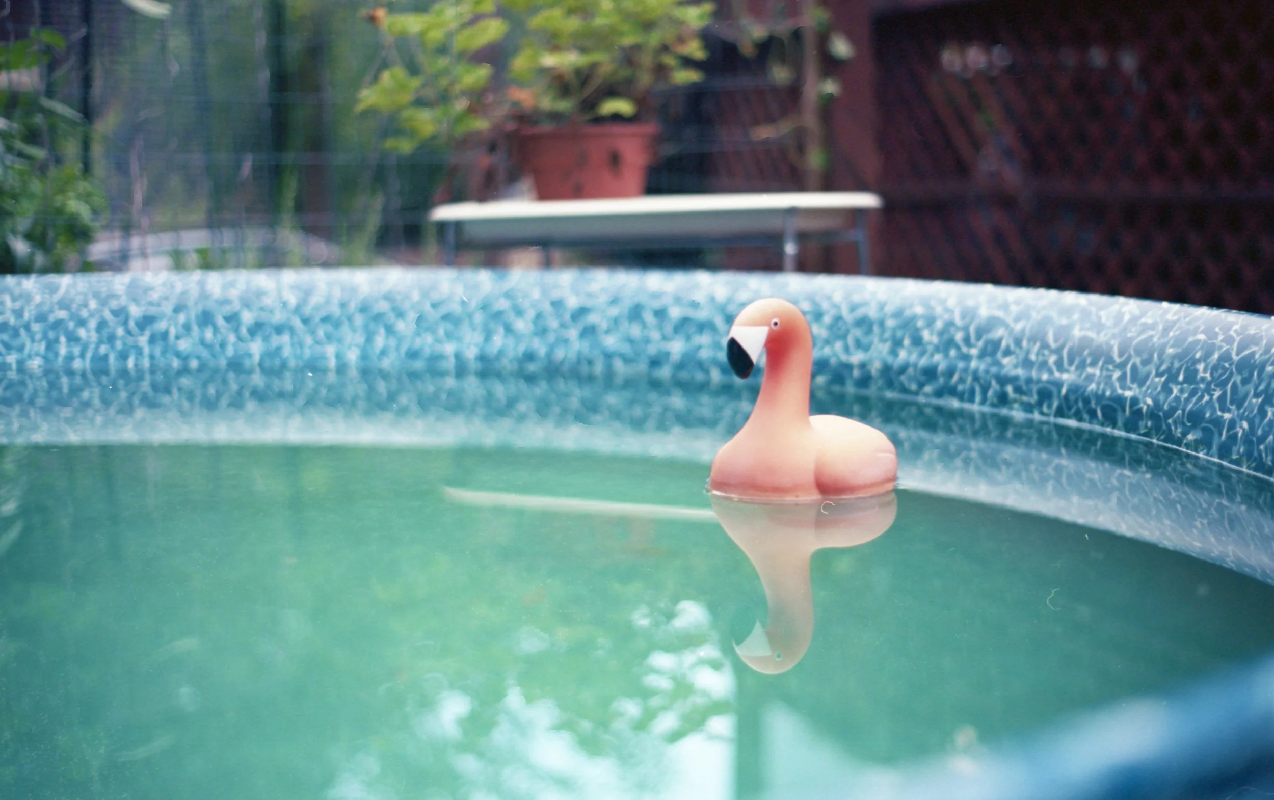 Durham, North Carolina.