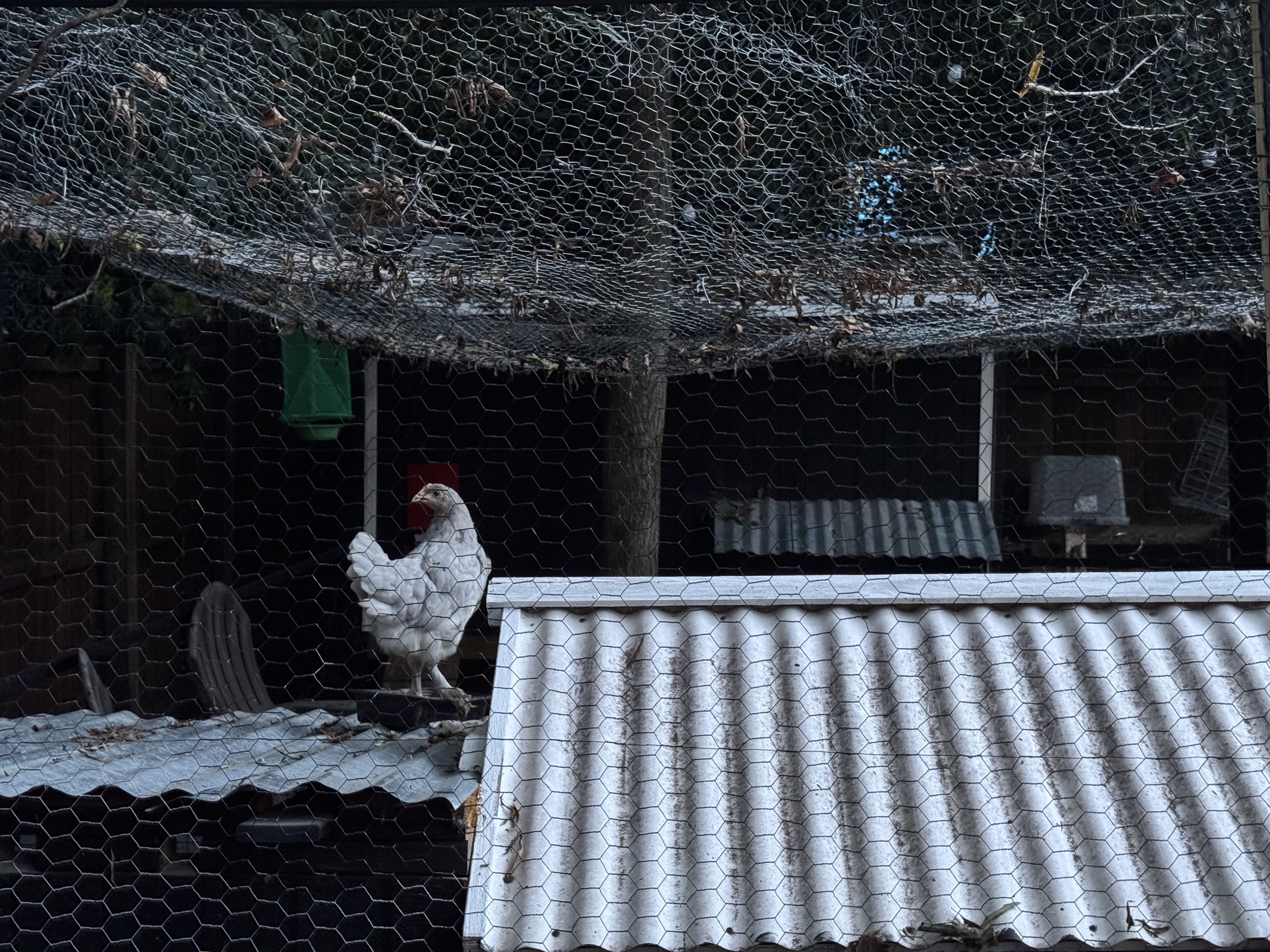 Durham, North Carolina. 