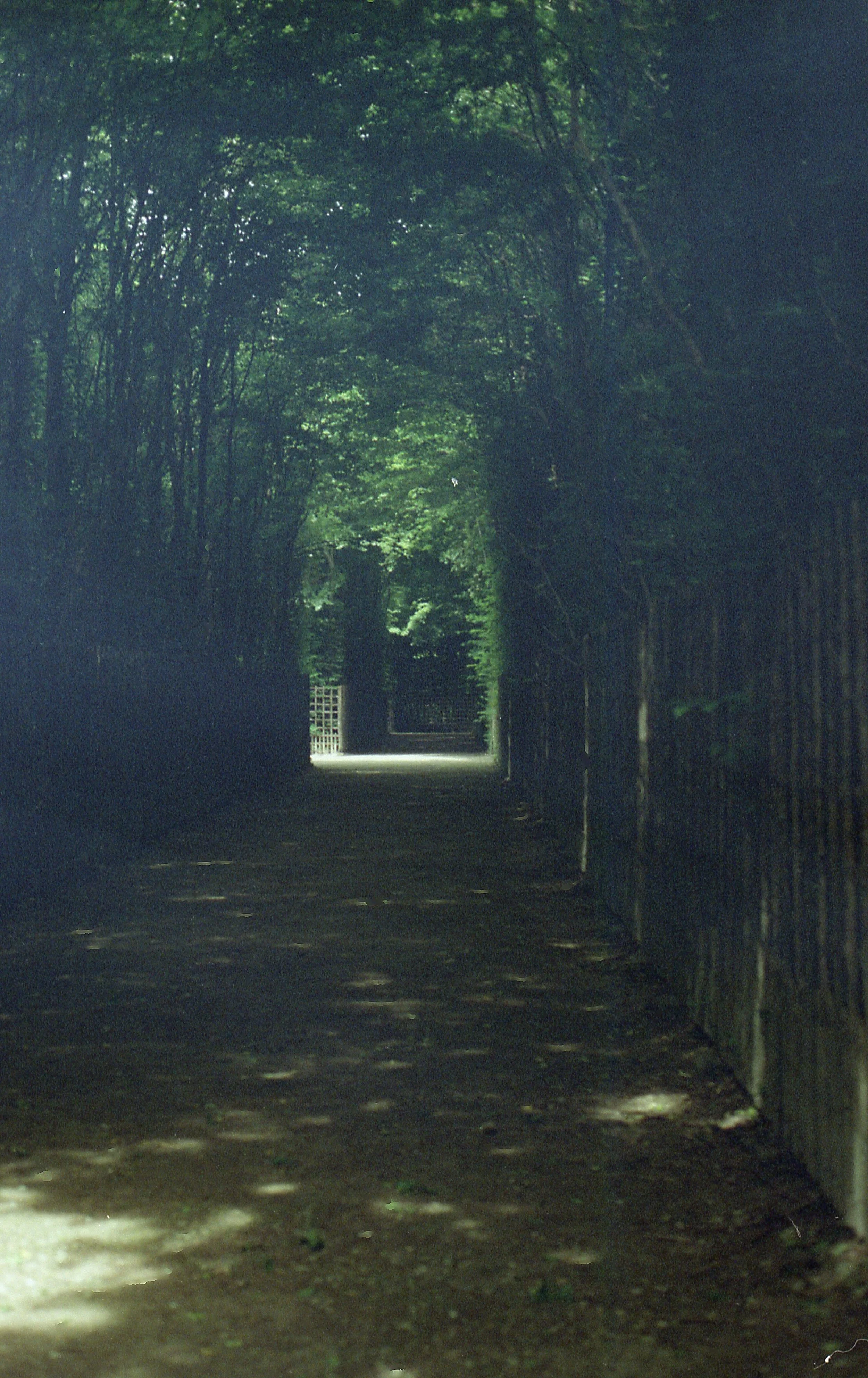 A shaded pathway with a wooden fence on the right and trees arching overhead, leading to a bright gate in the distance.
