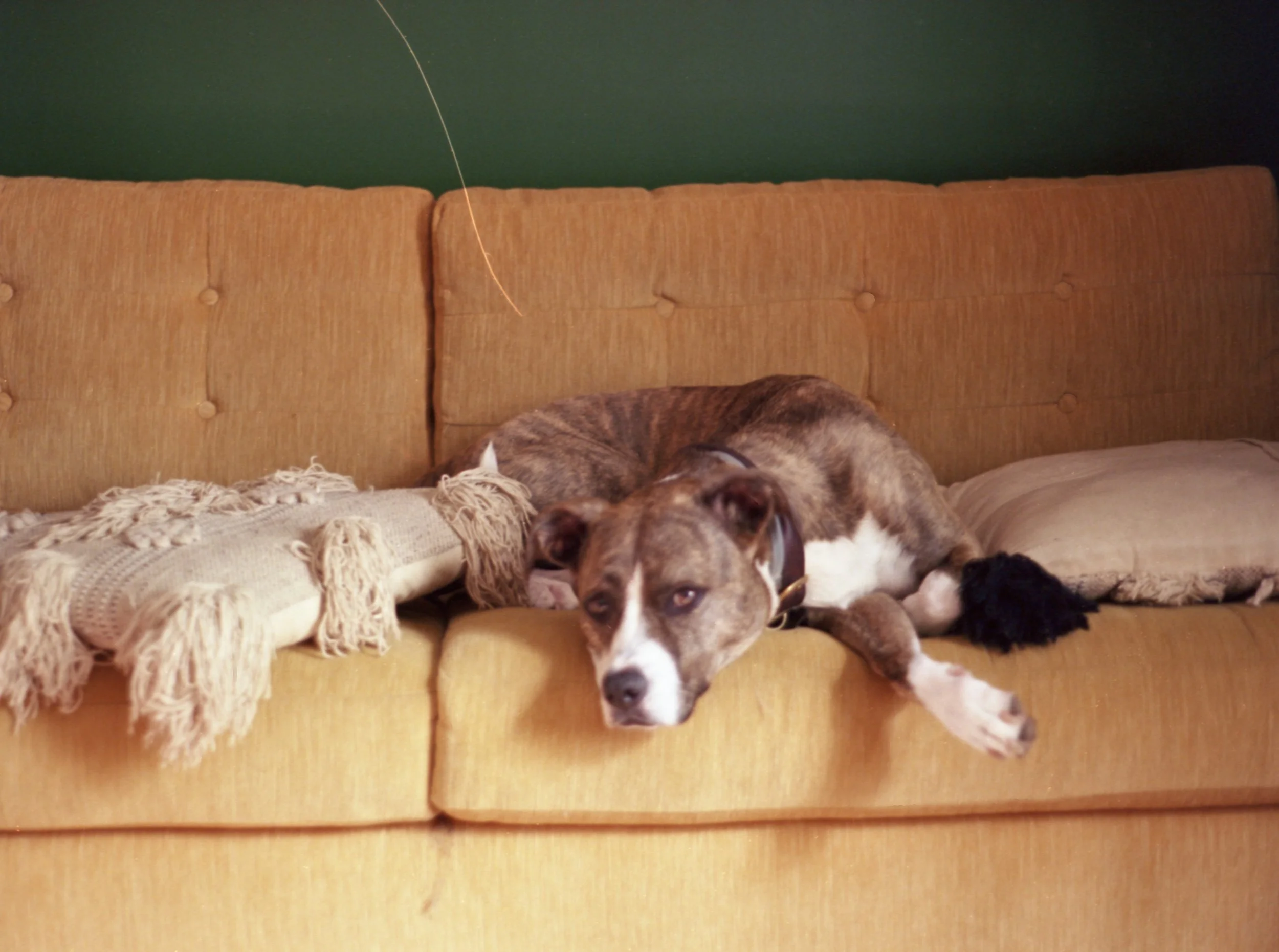 Durham, North Carolina.