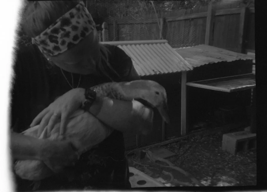 Person holding a duck in a backyard
