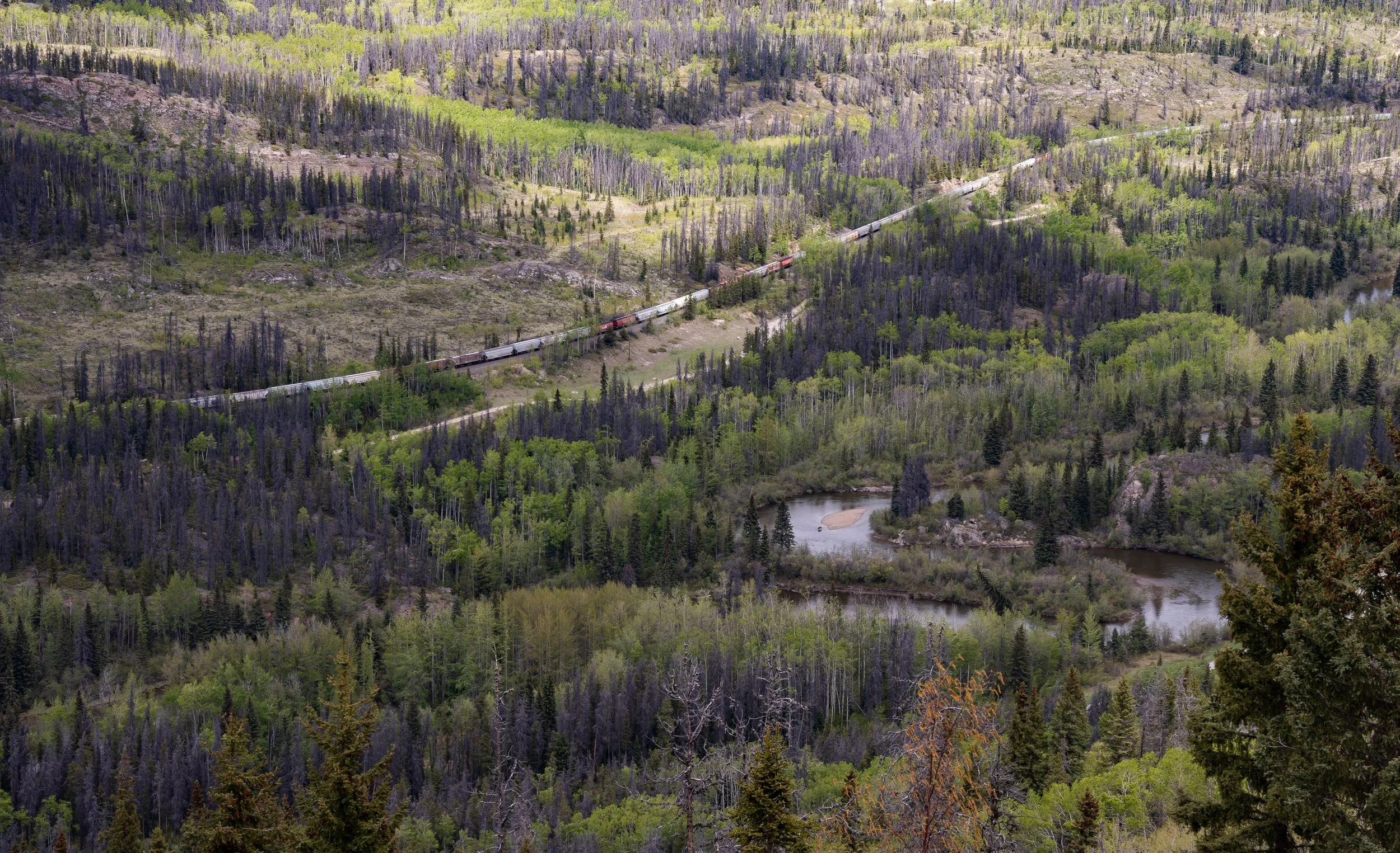A train with red, white, and gray cars traveling through a lush, green, mountainous forest landscape with a winding river in the foreground.