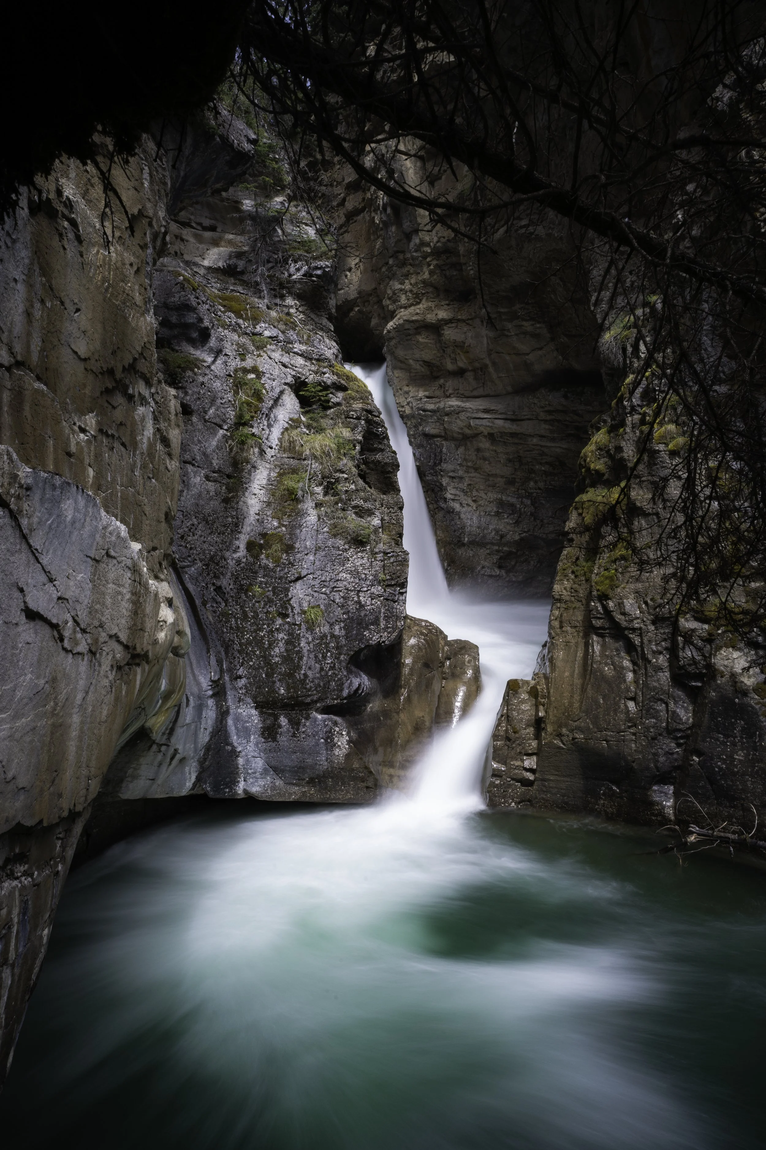 Waterfall cascading down rocky cliffs into a stream surrounded by moss and overhanging branches.