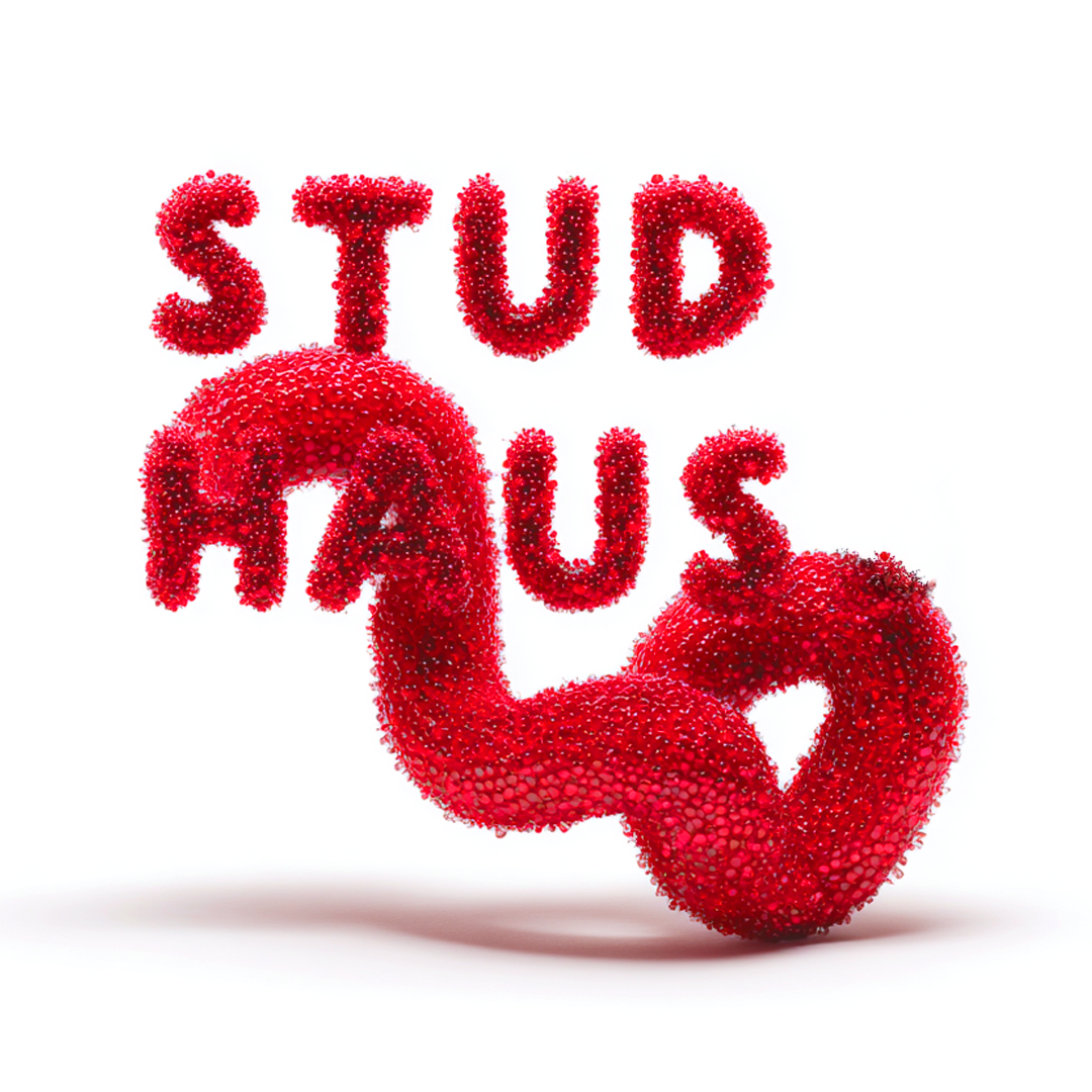 A 3D sculpture spelling out 'STUD' and 'HUS' in red, made of small beads or spheres, with the 'HUS' forming a heart shape at the end, against a white background.