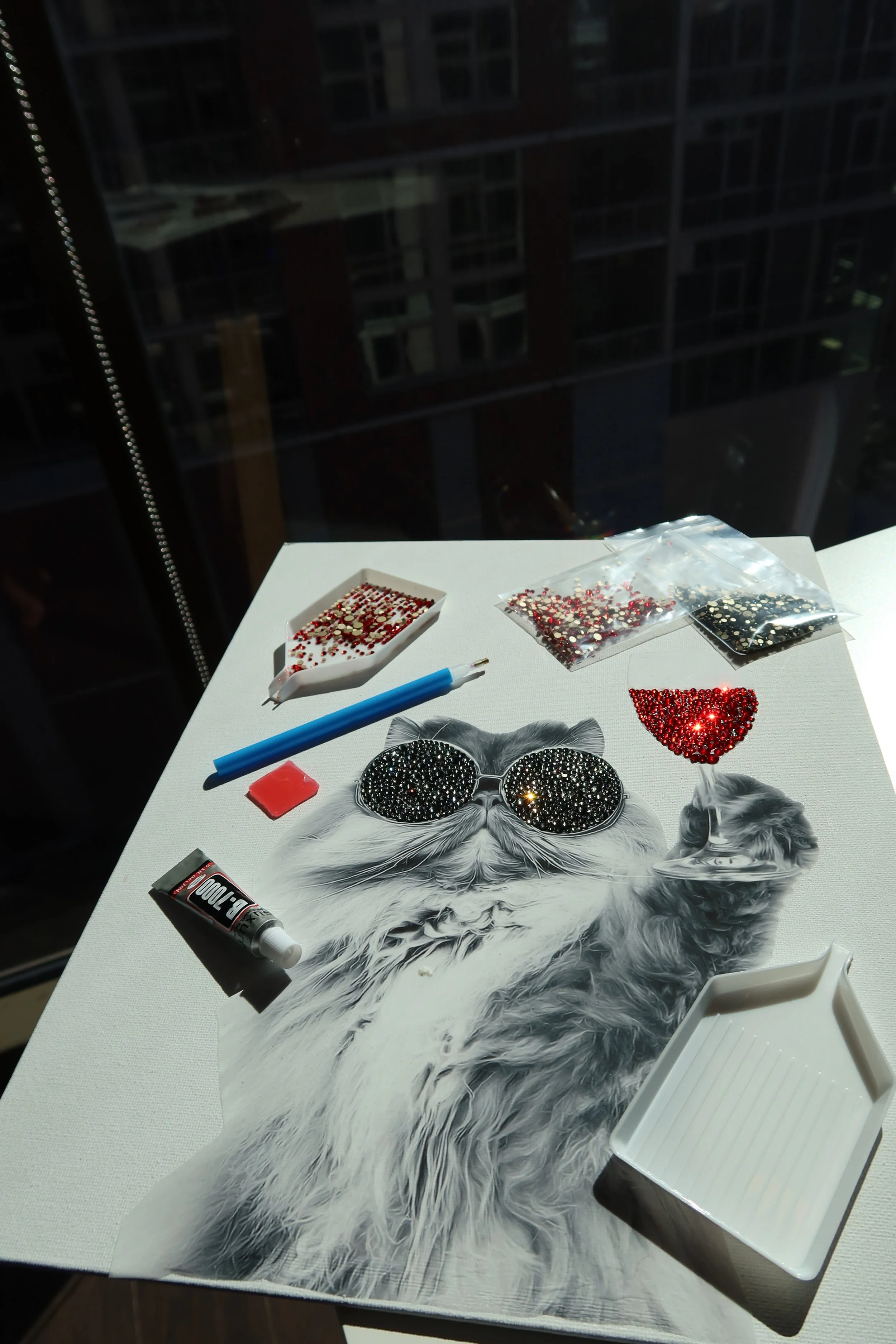 CAT WITH WINE AND SUNGLASSES RHINESTONE ART KIT