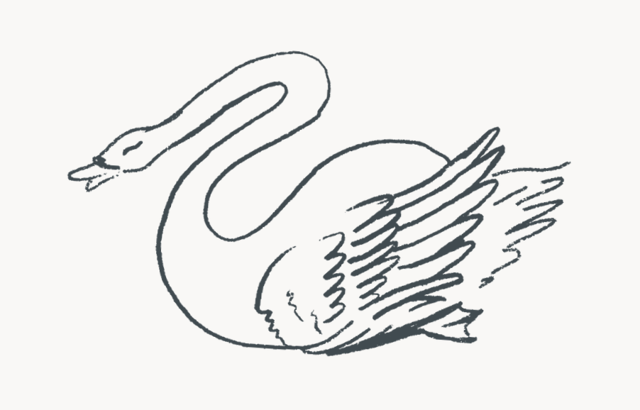A simple black and white sketch of a swan with detailed wings and a curved neck.