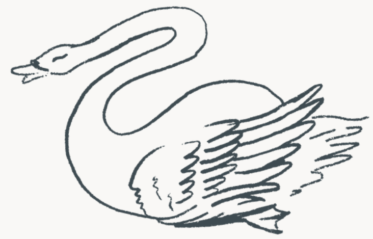 Line drawing of a swan with outstretched wings and a long curved neck.
