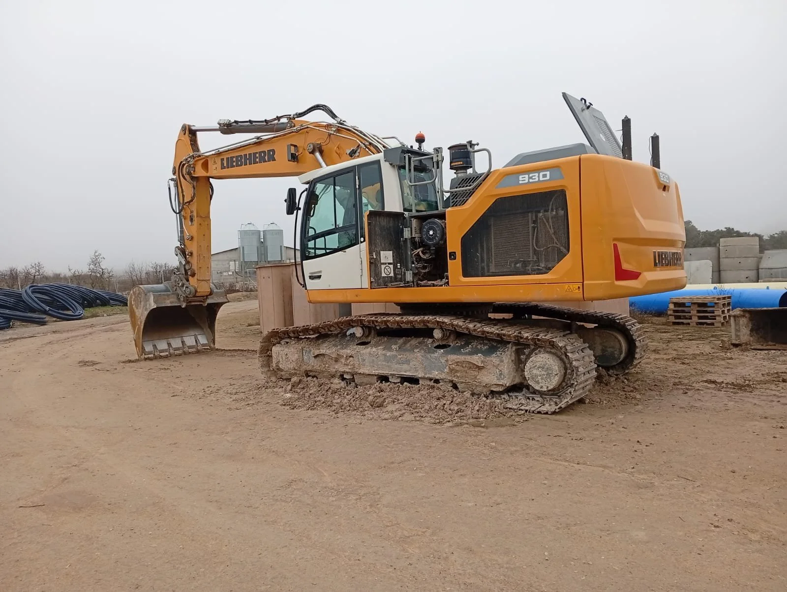 WhatsApp Image 2026-01-13 at 16.14.44.jpeg