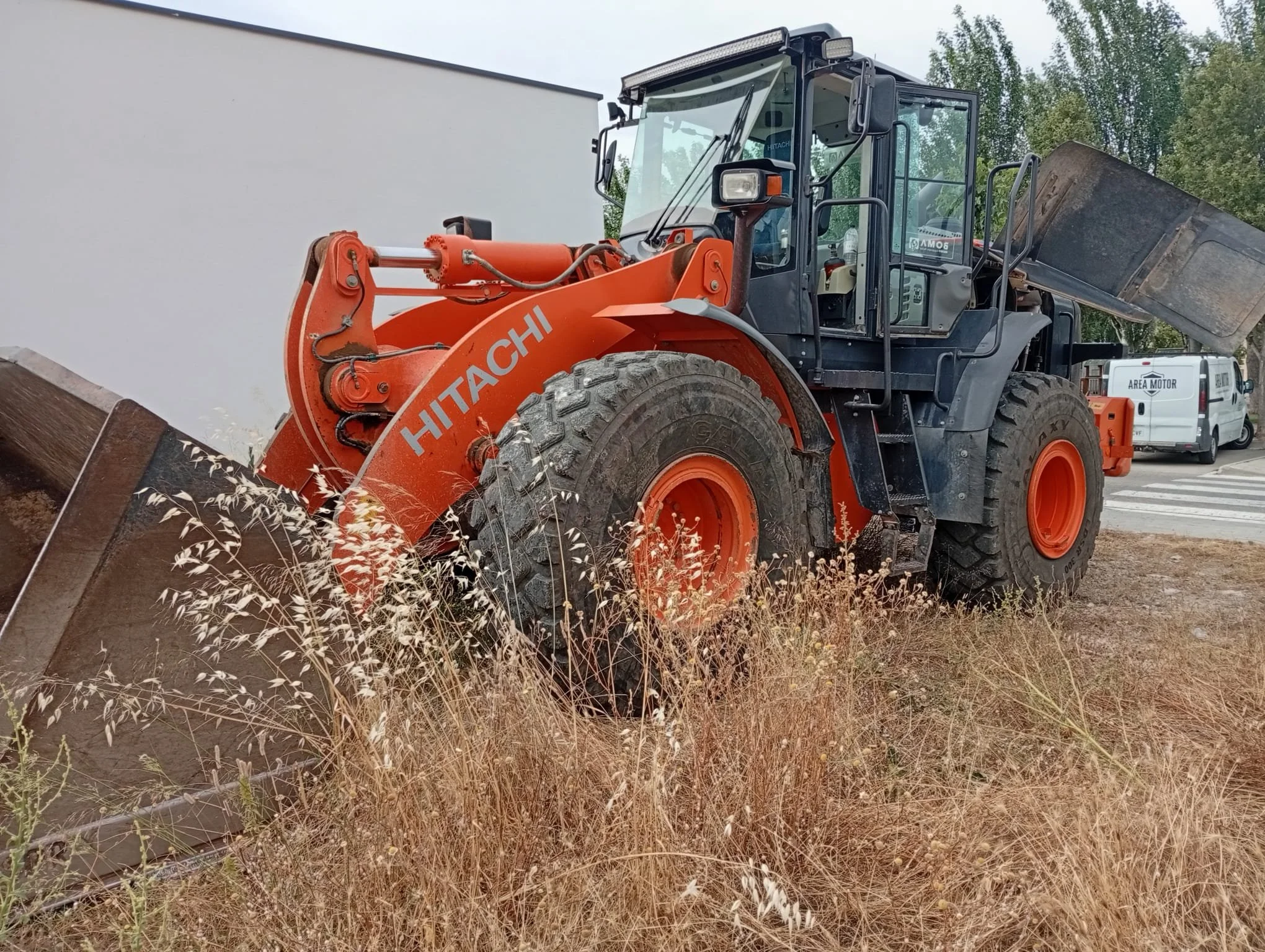 WhatsApp Image 2026-02-03 at 13.33.26.jpeg