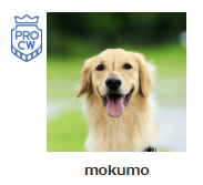 笑顔のゴールデンレトリバーの犬