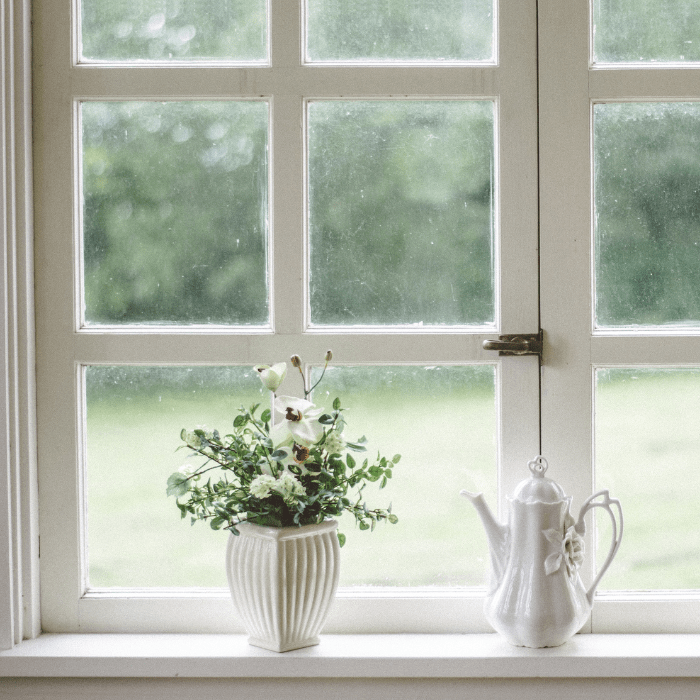 Flower pot and watering can on window mantle