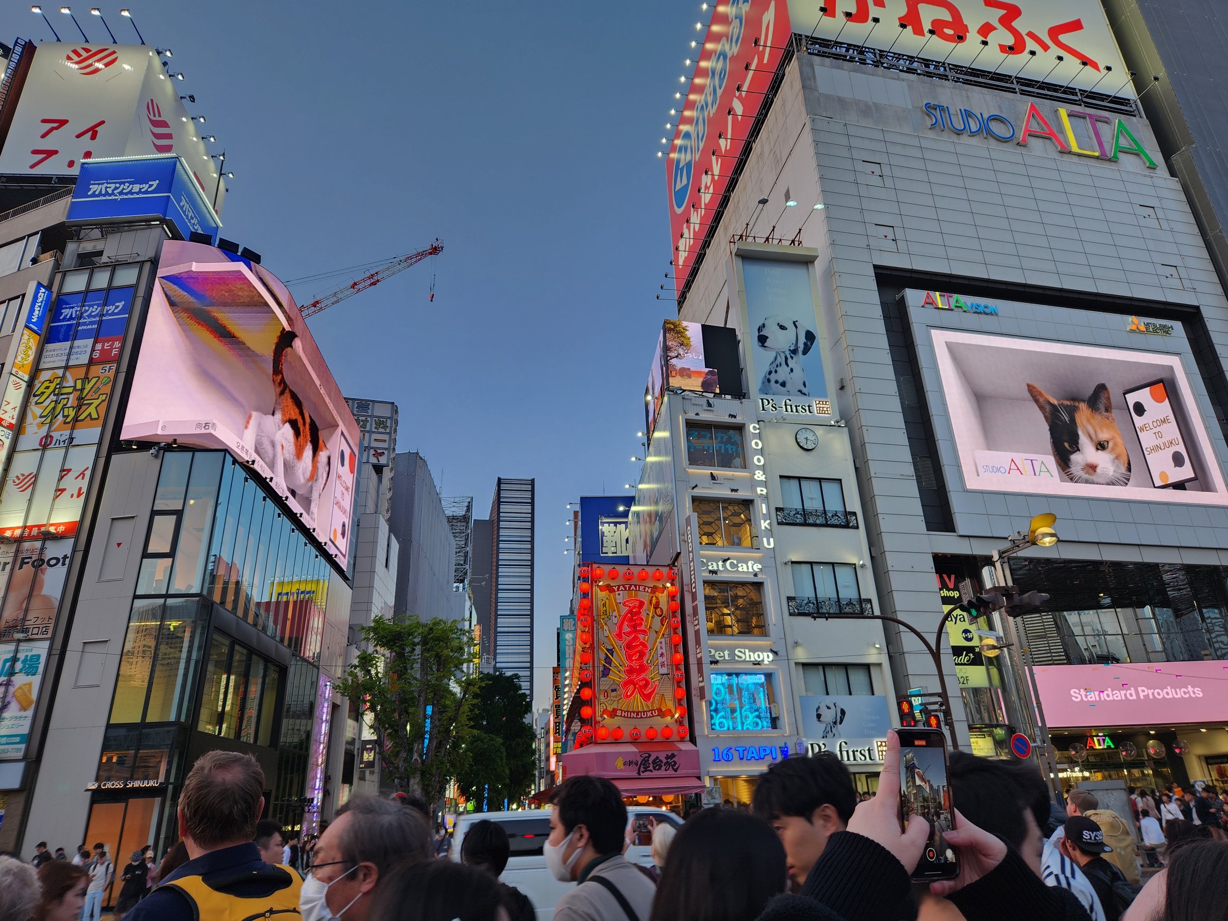 One Day in Tokyo: Food, Culture &amp; Adventure in Japan’s Capital