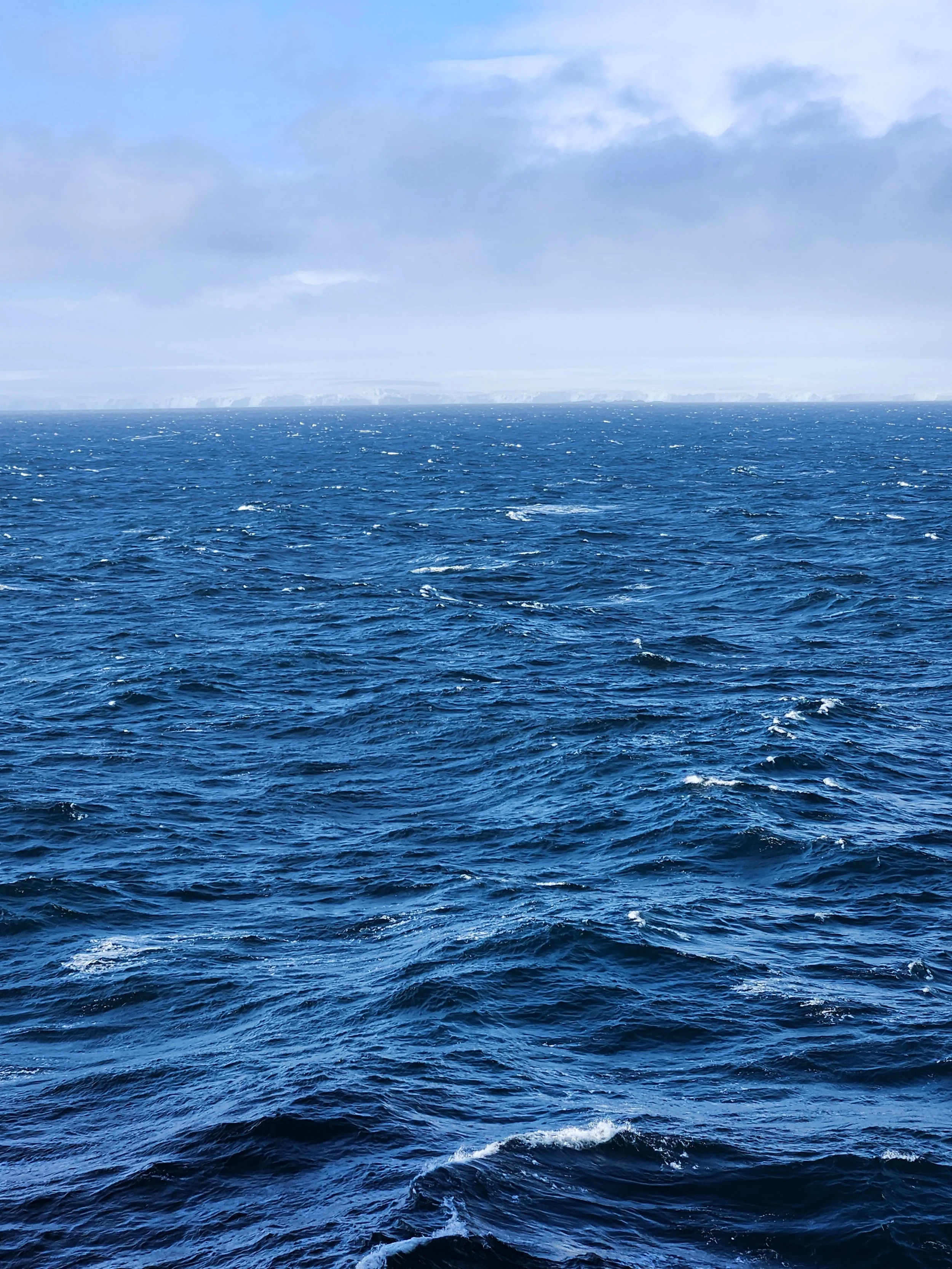 Crossing the Drake Passage: Our Sea Days on the Way to Antarctic