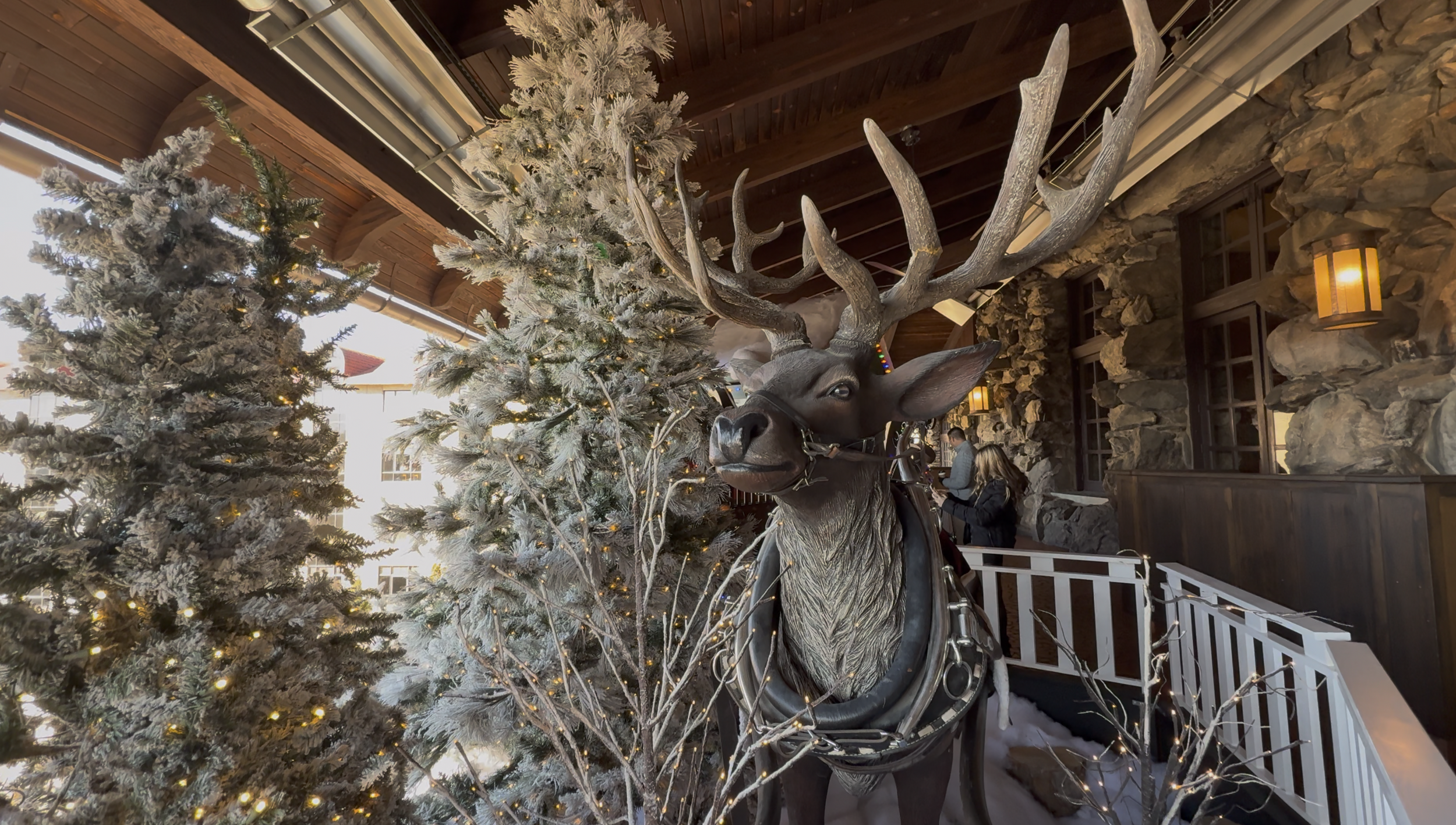 Screenshot 2026-01-19 at 9.46.40 AM.png