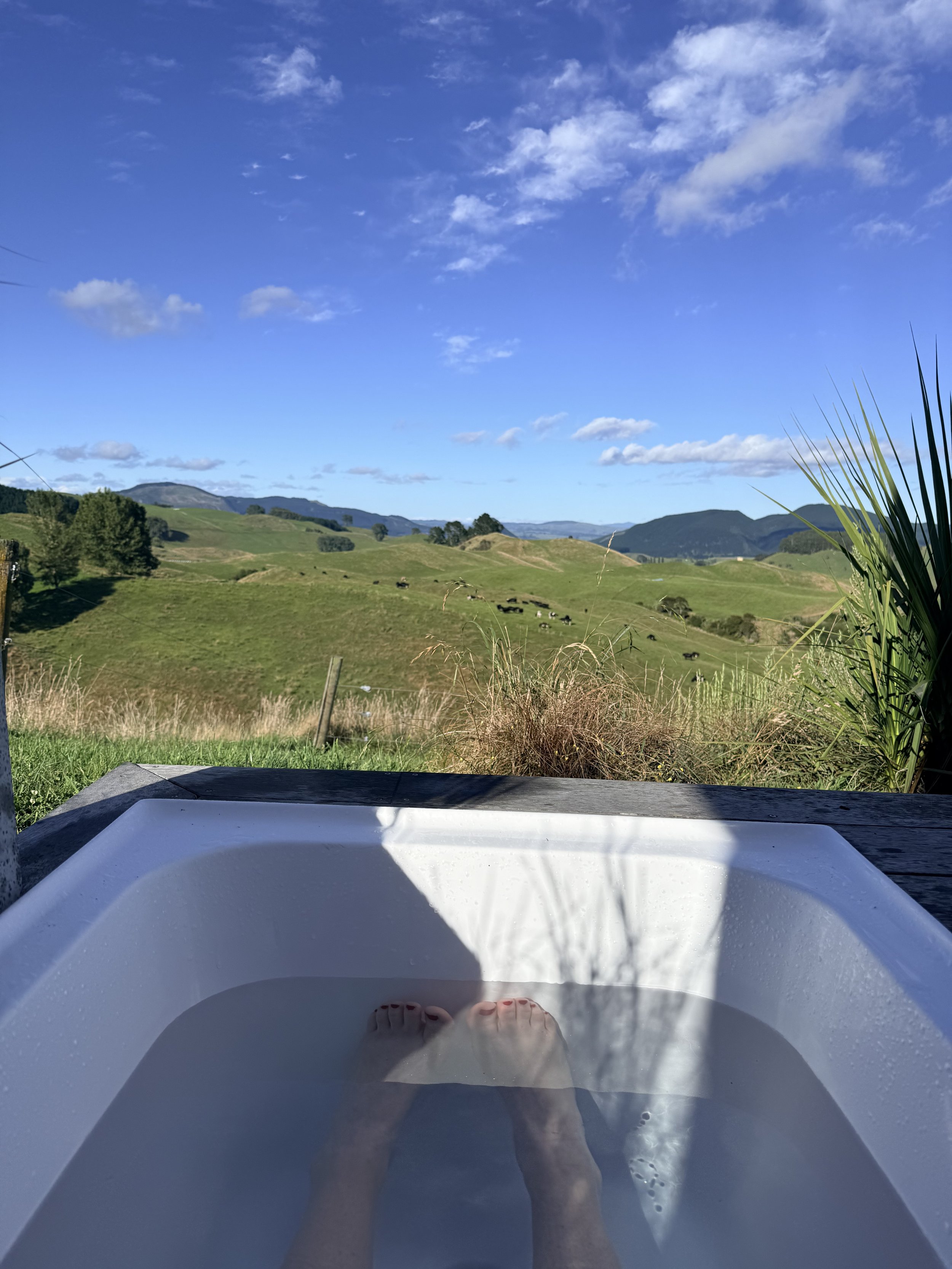 New Zealand North Island Adventure: Our One-Week Road Trip Itinerary