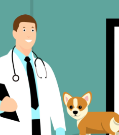 Cartoon illustration of a veterinarian in a white coat with a stethoscope and a small brown and white dog.