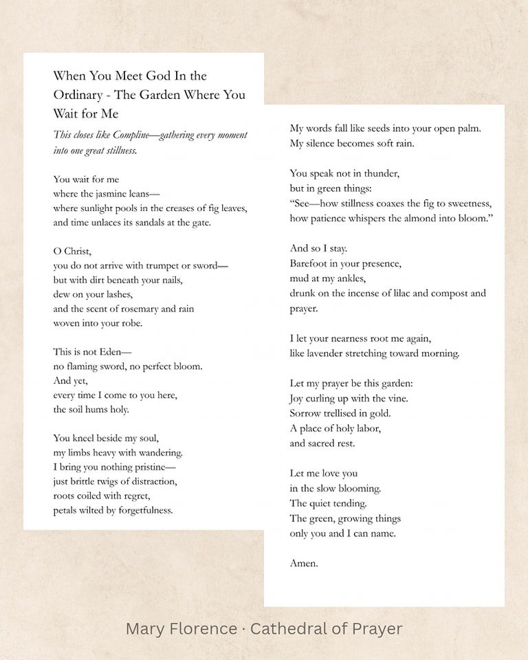 The holy often waits
where you already are.

🤍

#sacredordinary #prayerwriting #christianpoetry #devotionalwords #quietfaith #sacredstillness #contemplativefaith #faithandwords #christiancreative #sacredordinary #gentlefaith