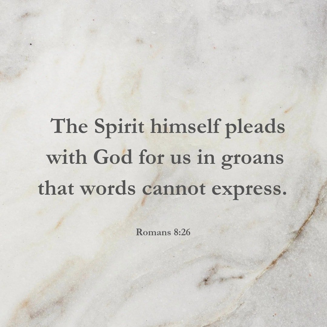 Even what you cannot name
is being held.

&mdash; Romans 8:26 (GNBDK) 

🤍

#prayerwriting
#christianpoetry
#devotionalwords
#quietfaith
#sacredstillness
#contemplativefaith
#faithandwords
#christiancreative
#sacredordinary
#gentlefaith