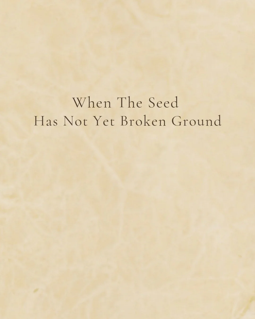 The hidden hours are holy.
maryflorence.com

🤍

#christianpoetry
#catholiccreative
#devotionalwriting
#sacredwords
