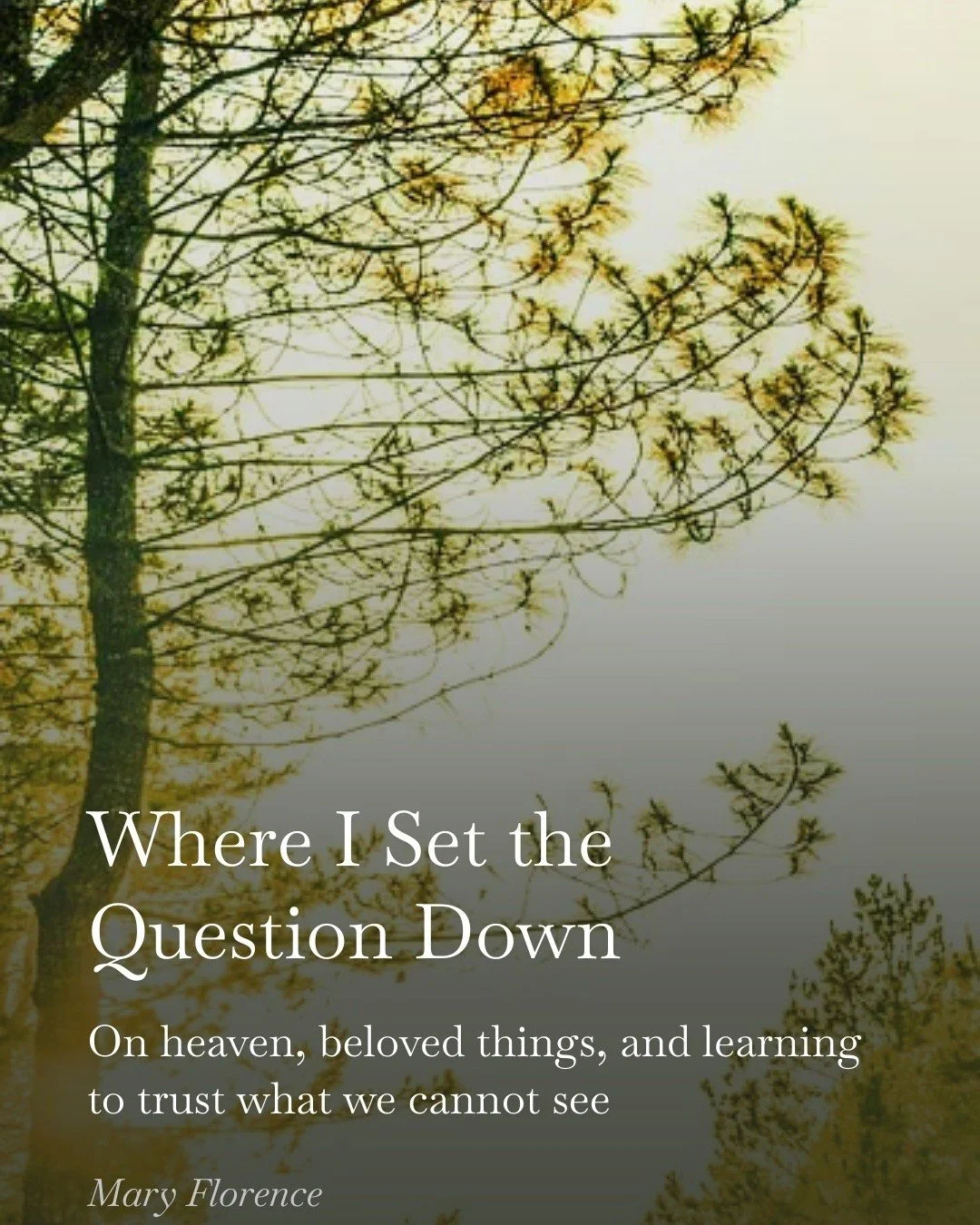 Can I trust the heart of God
with what I love?

That was the question beneath the question.

Full reflection on Substack

🤍 

#ChristianReflection #FaithJourney #TrustGod #ChristianWriting #DevotionalThoughts #QuietFaith #SpiritualReflection #FaithO