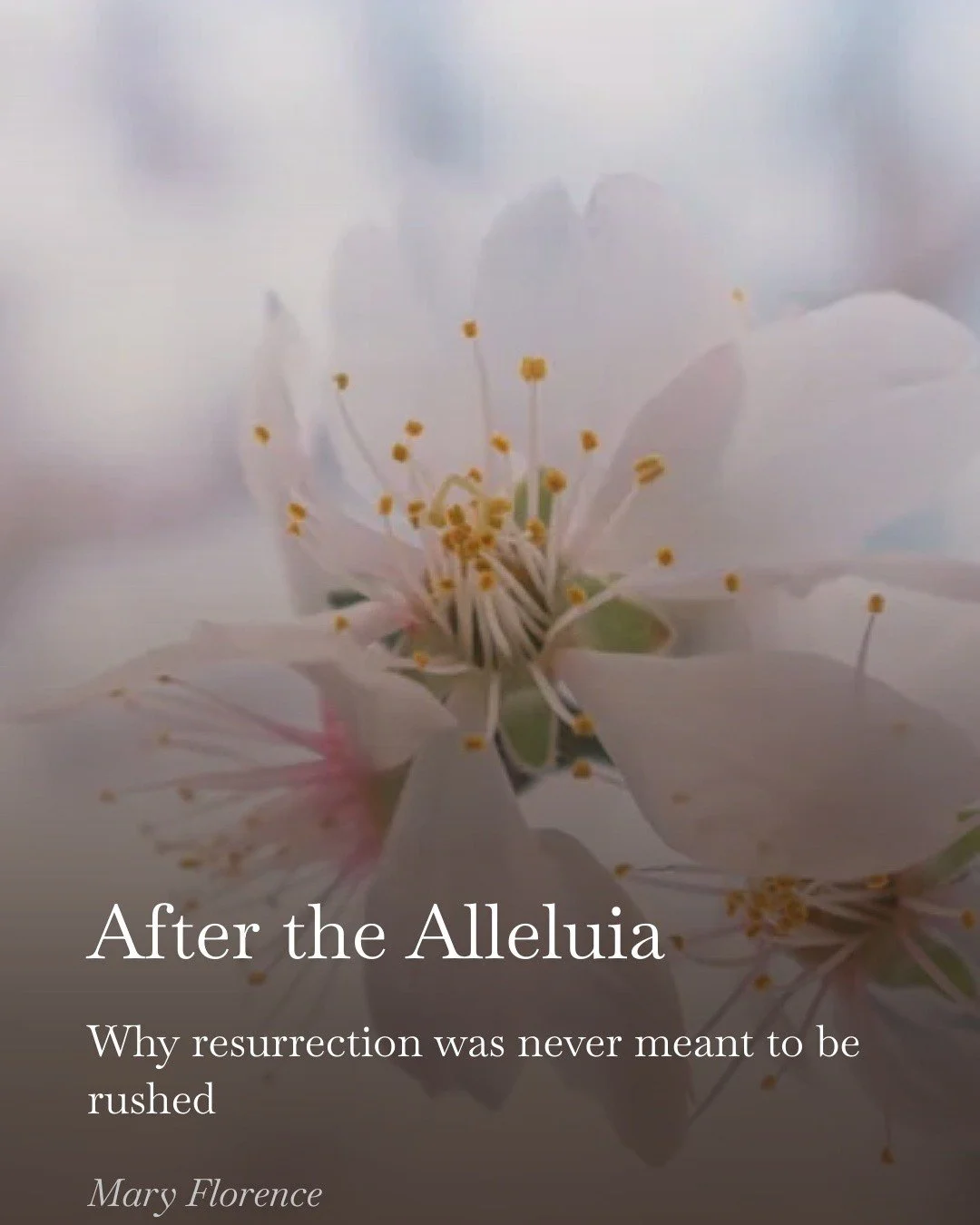 Easter felt quieter than I expected this year.

Not smaller&mdash;
just&hellip; rushed.

But resurrection was never meant to be a single moment.
It&rsquo;s something we&rsquo;re meant to live in.

I wrote a reflection on that 🤍

(link in bio)

#Chri