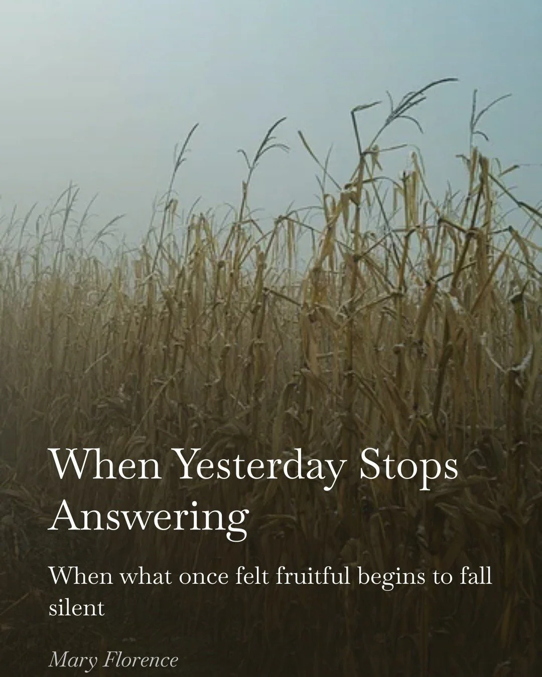 There are seasons that once felt open&hellip;
and then quietly stop answering.

Not all at once.
Not loudly.
Just enough that what once felt natural
begins to feel forced.

And the question becomes&mdash;
do we push harder&hellip;
or pay attention?

