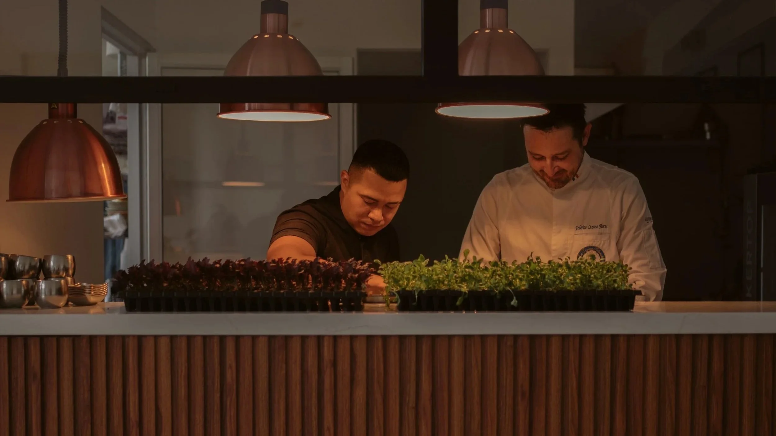 Two chefs working in a kitchen behind a wooden counter, with watering trays of young plants and copper pendant lights overhead.