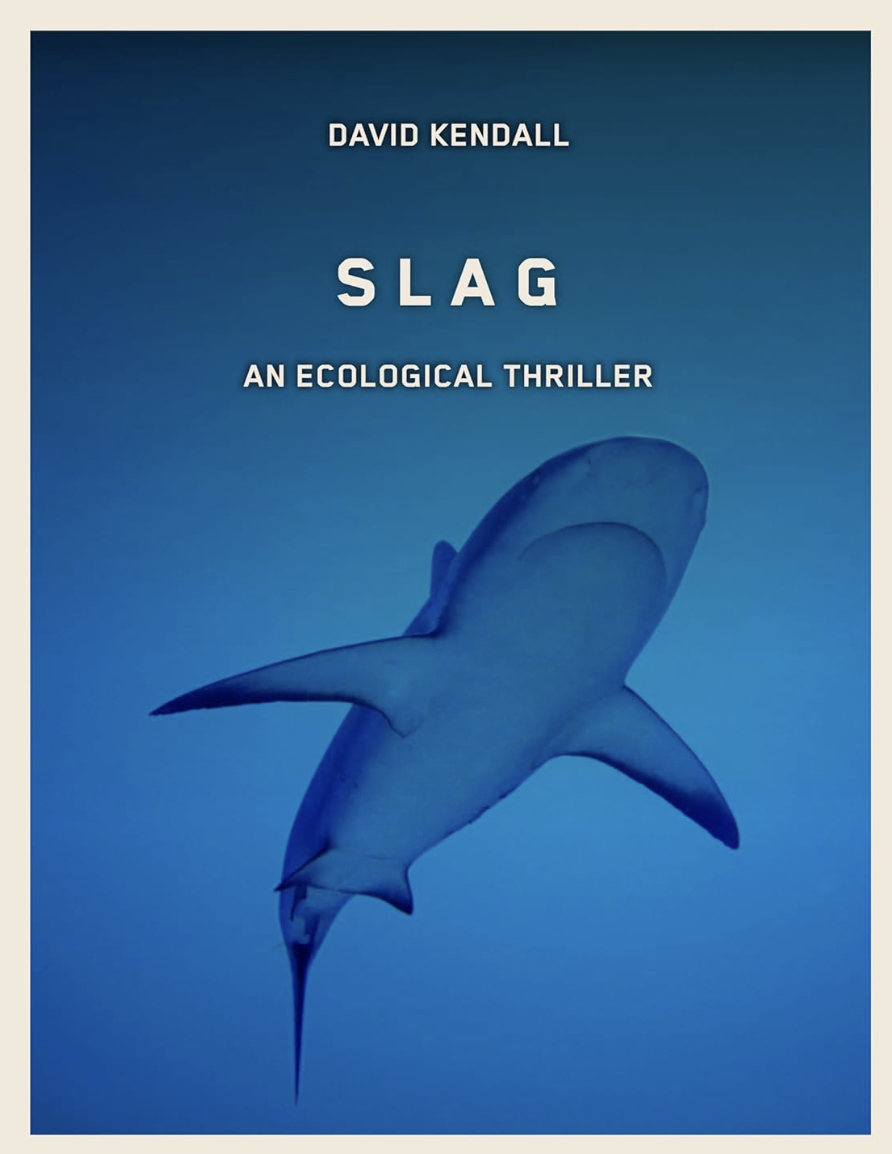 Screen Shot 2026-04-16 at 6.37.30 PM.png