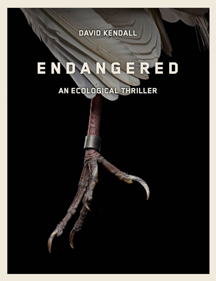 Screen Shot 2026-04-16 at 6.48.51 PM.png