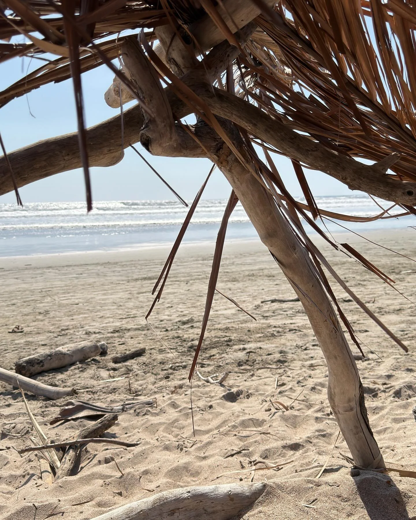 Seeking inspiration in Nosara.

Stick huts on the sand.
Round doors.
Organic pools tucked into the jungle.

A place where architecture, nature, and lifestyle flow together effortlessly.

Soaking in the beauty of this blue-zone way of living &mdash; l