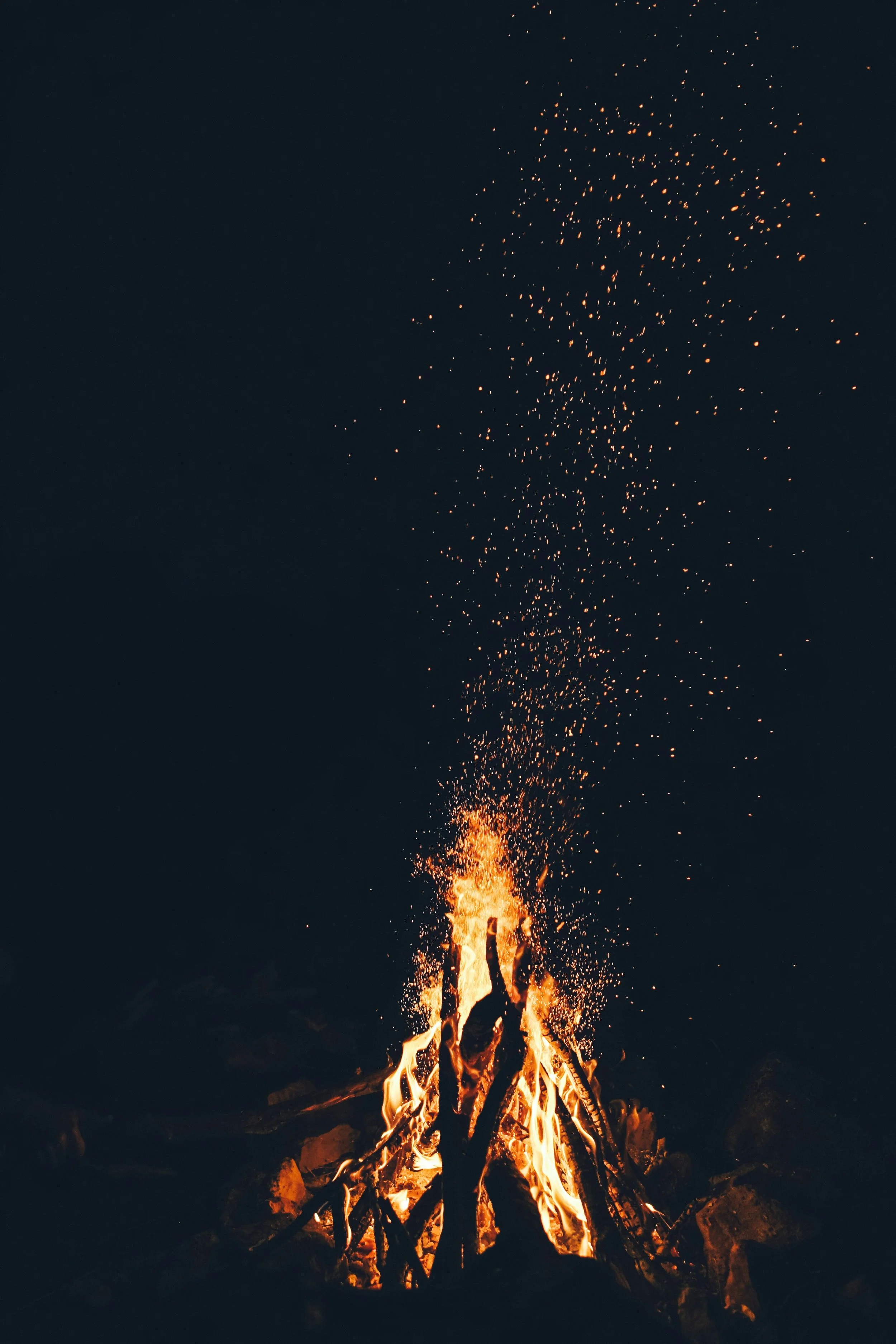 Digestive Health and Healing the Center: Gathering Around the Fire (Part 2 of 2)